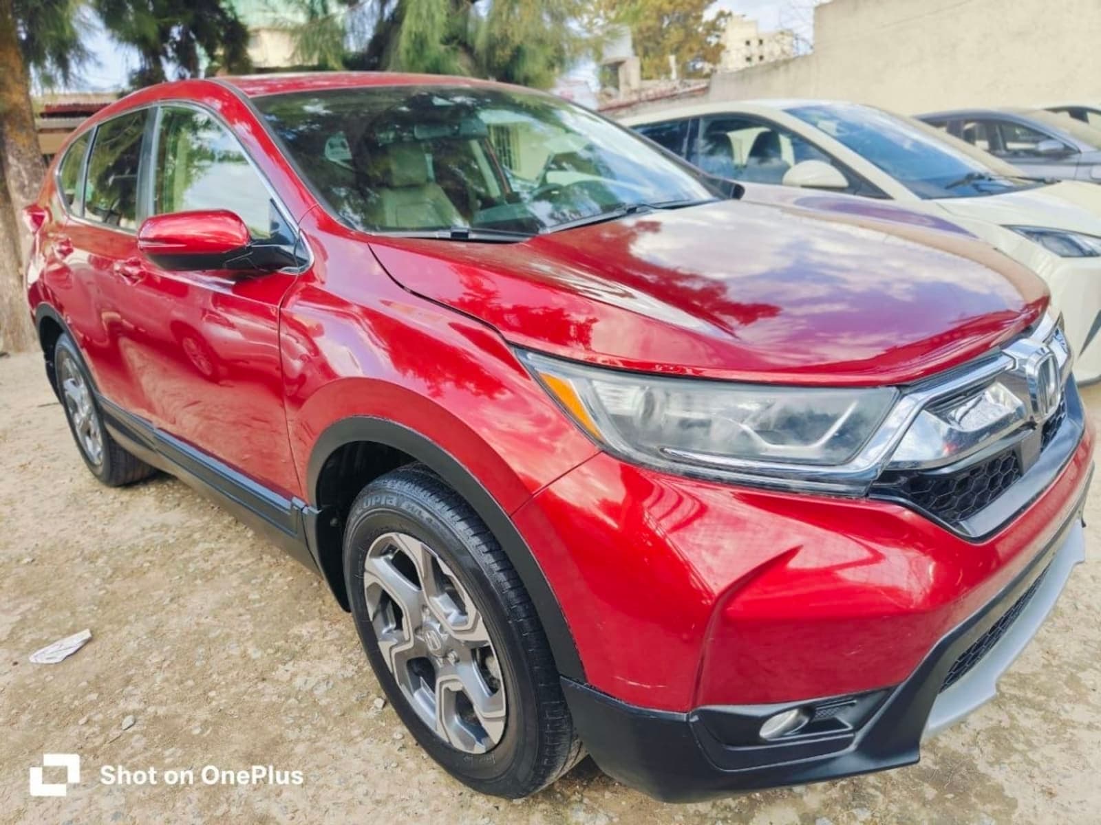 2019 Honda CR-V — photo 4