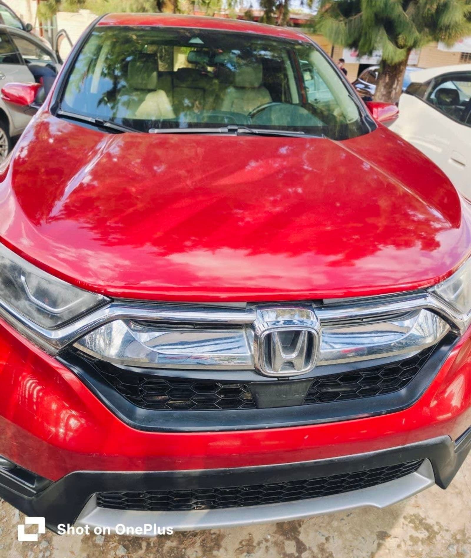 2019 Honda CR-V — photo 5
