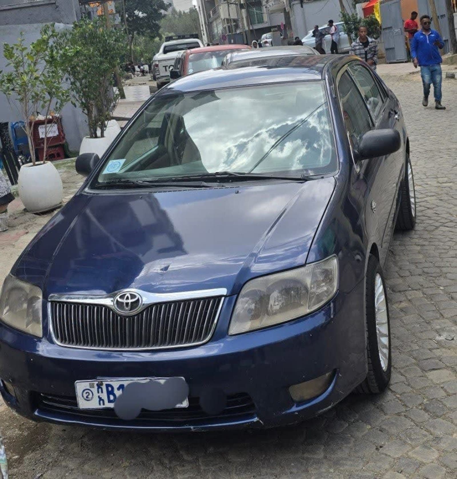 2005 Toyota Corolla — photo 1