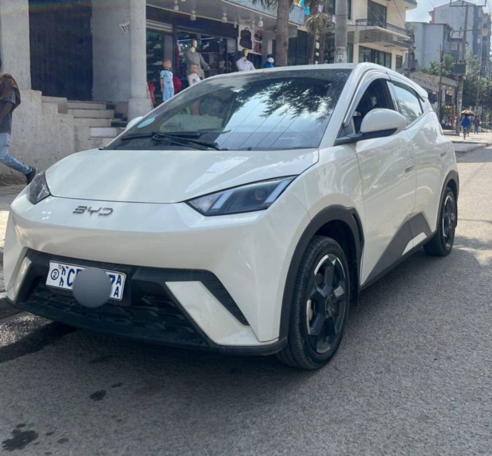 2024 BYD Segull