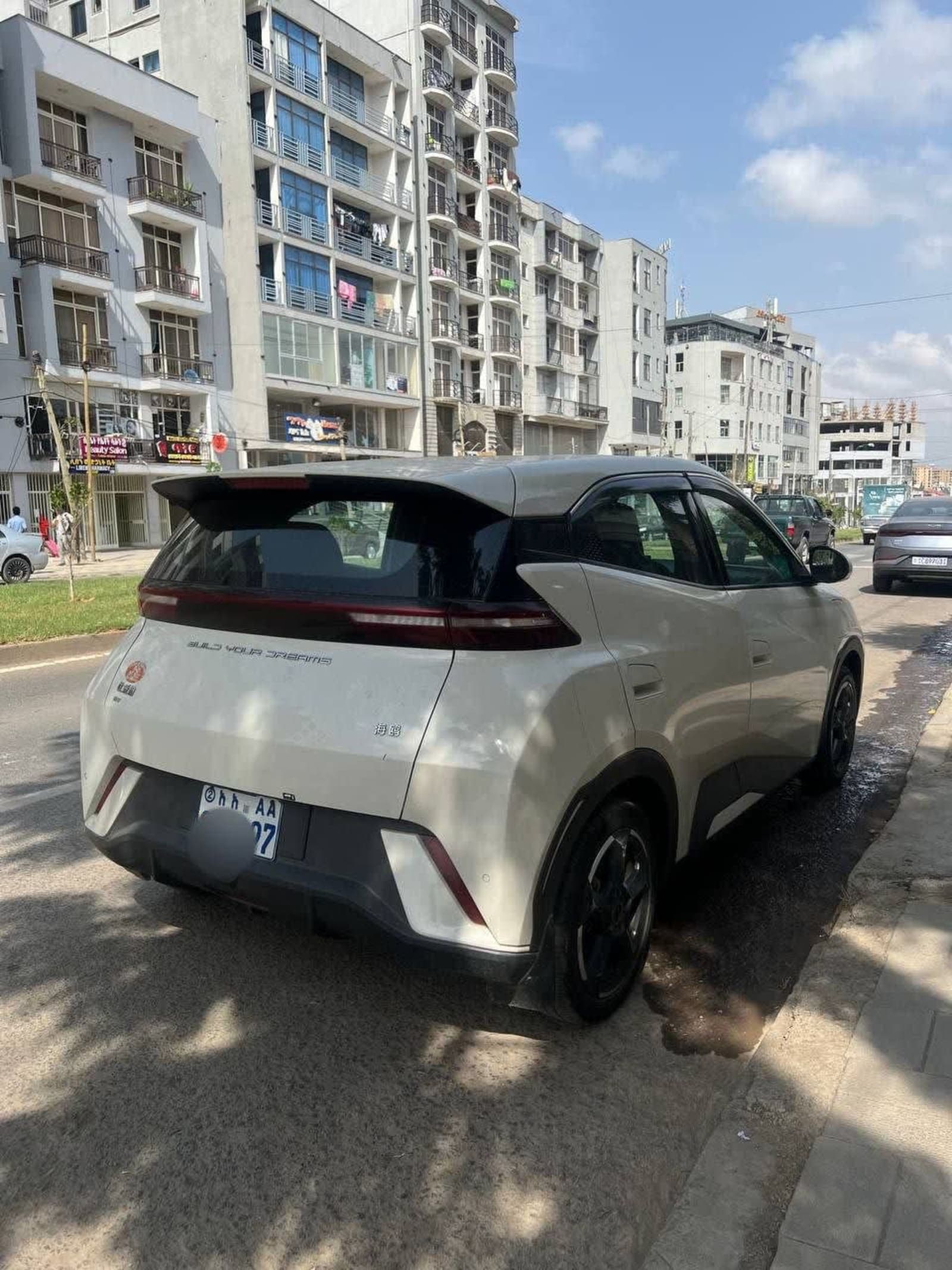 2024 BYD Segull — photo 5