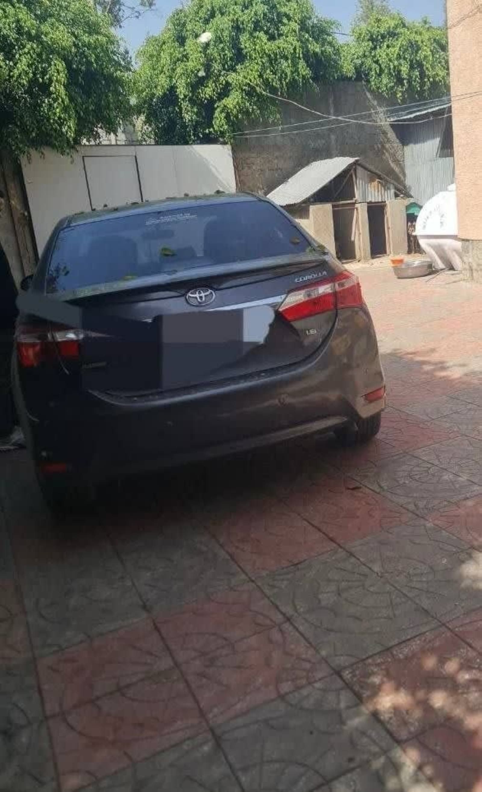 2014 Toyota Corolla — photo 5