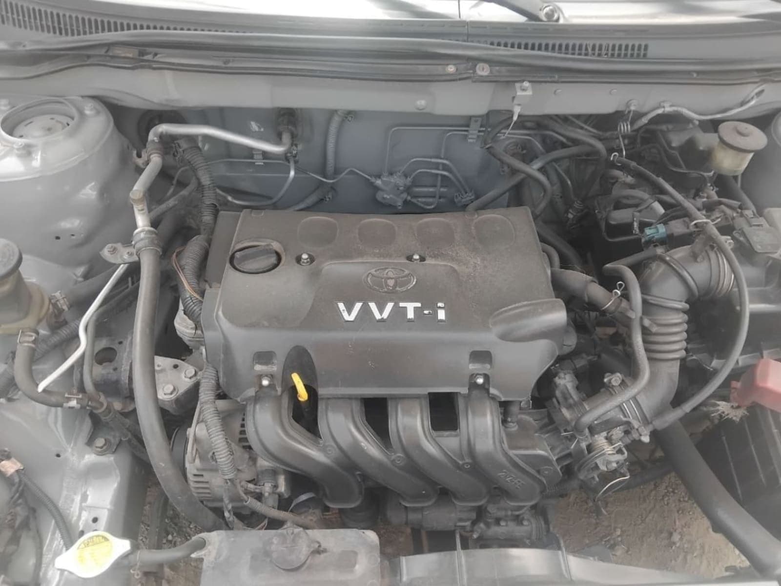 2003 Toyota Corolla — photo 4