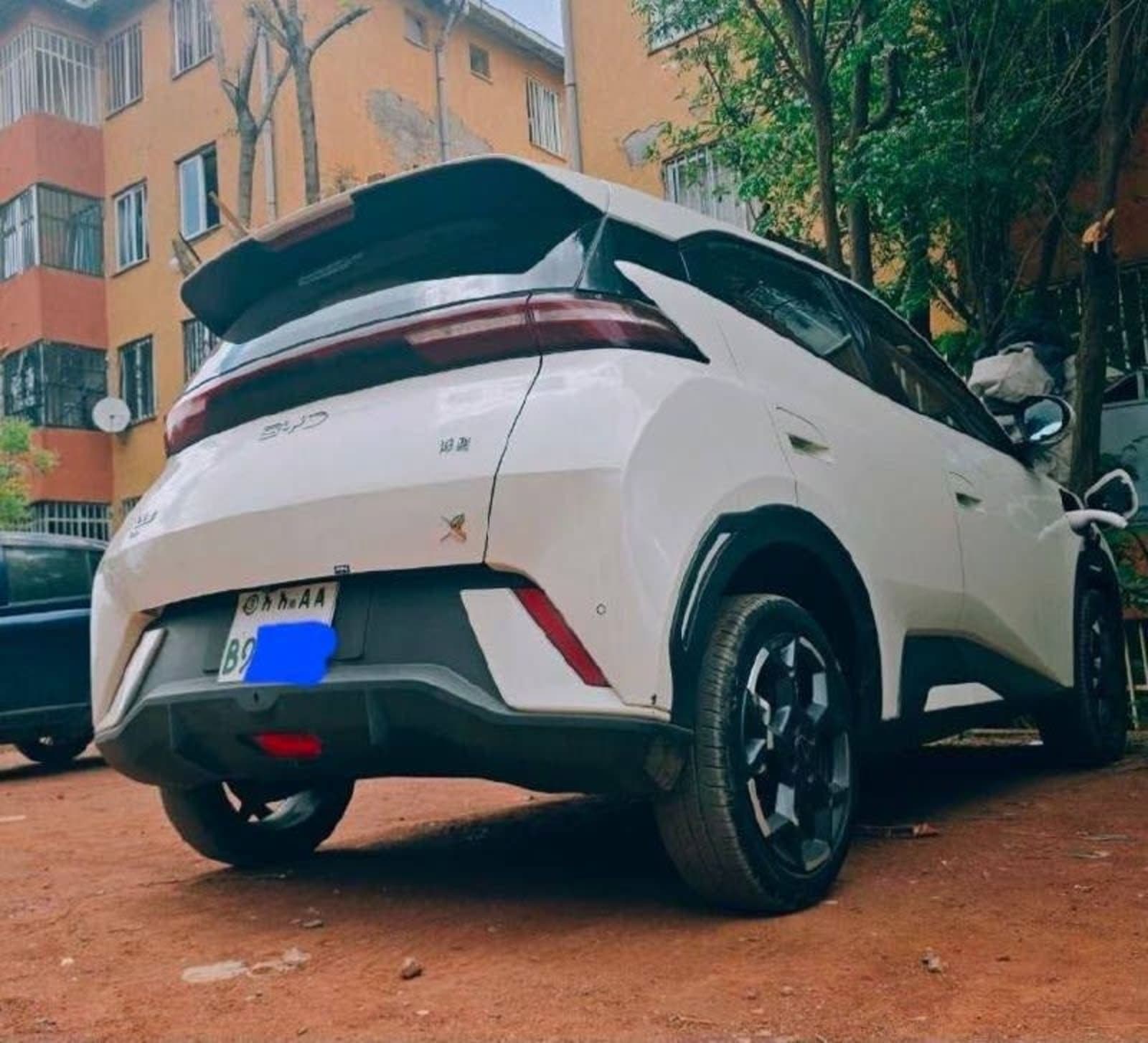 2025 BYD Seagull — photo 2