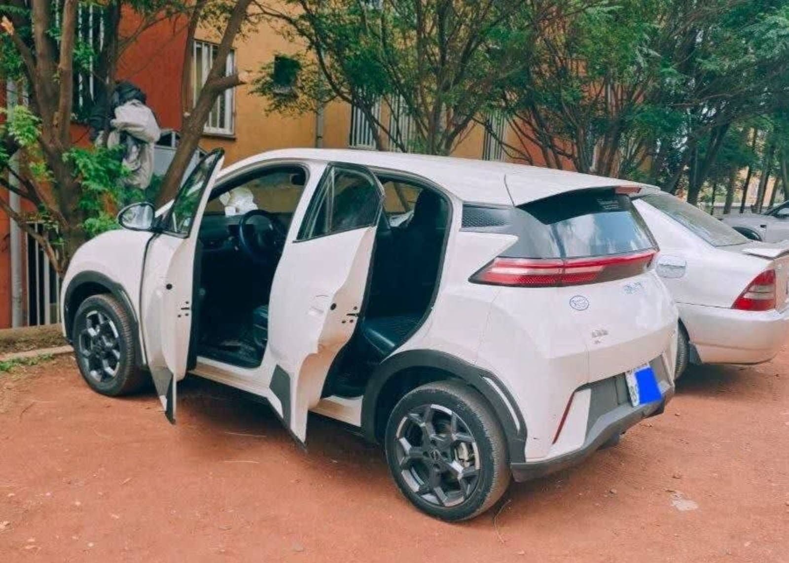 2025 BYD Seagull — photo 5