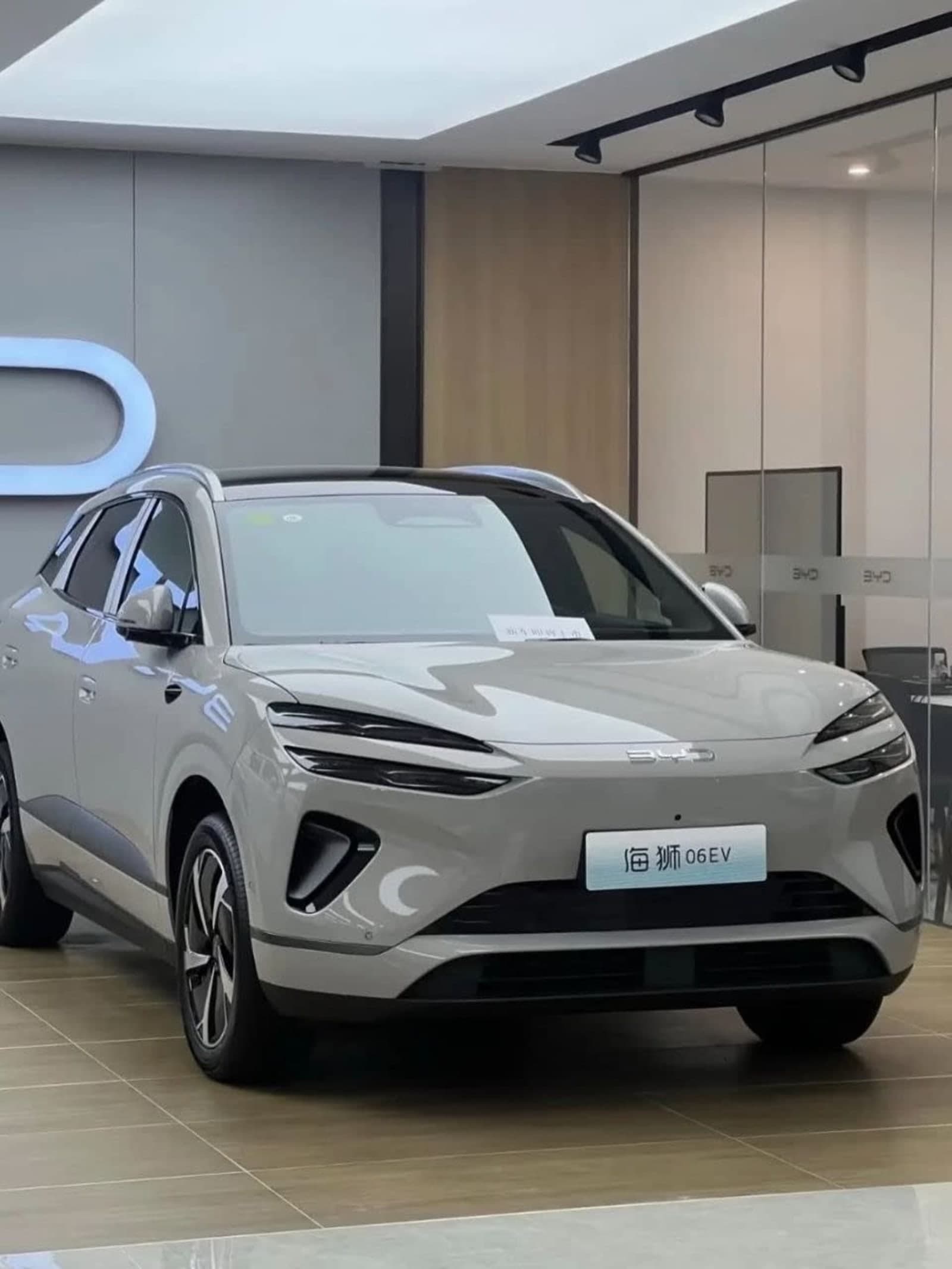 2025 BYD Sealion 06