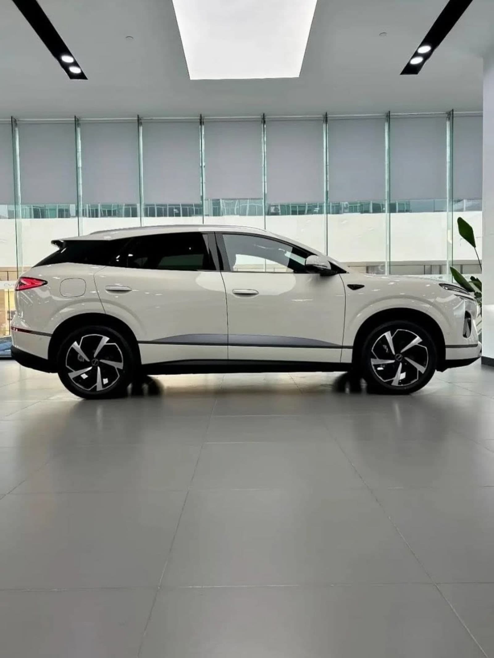 2025 BYD Sealion 06 — photo 3