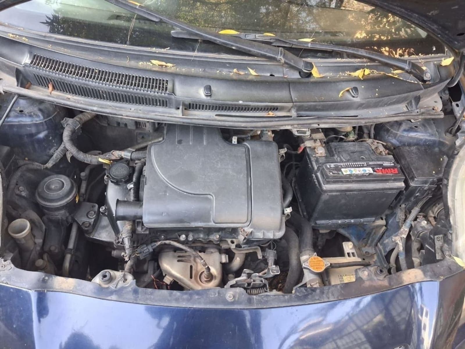 2007 Toyota Yaris Compact