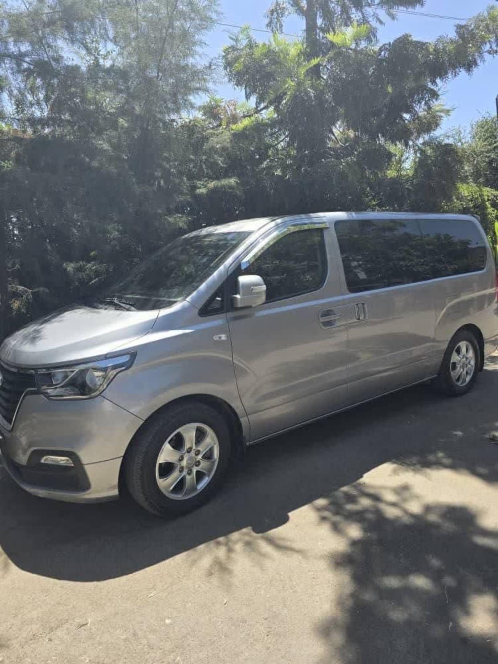 2020 Hyundai Star-X — photo 3