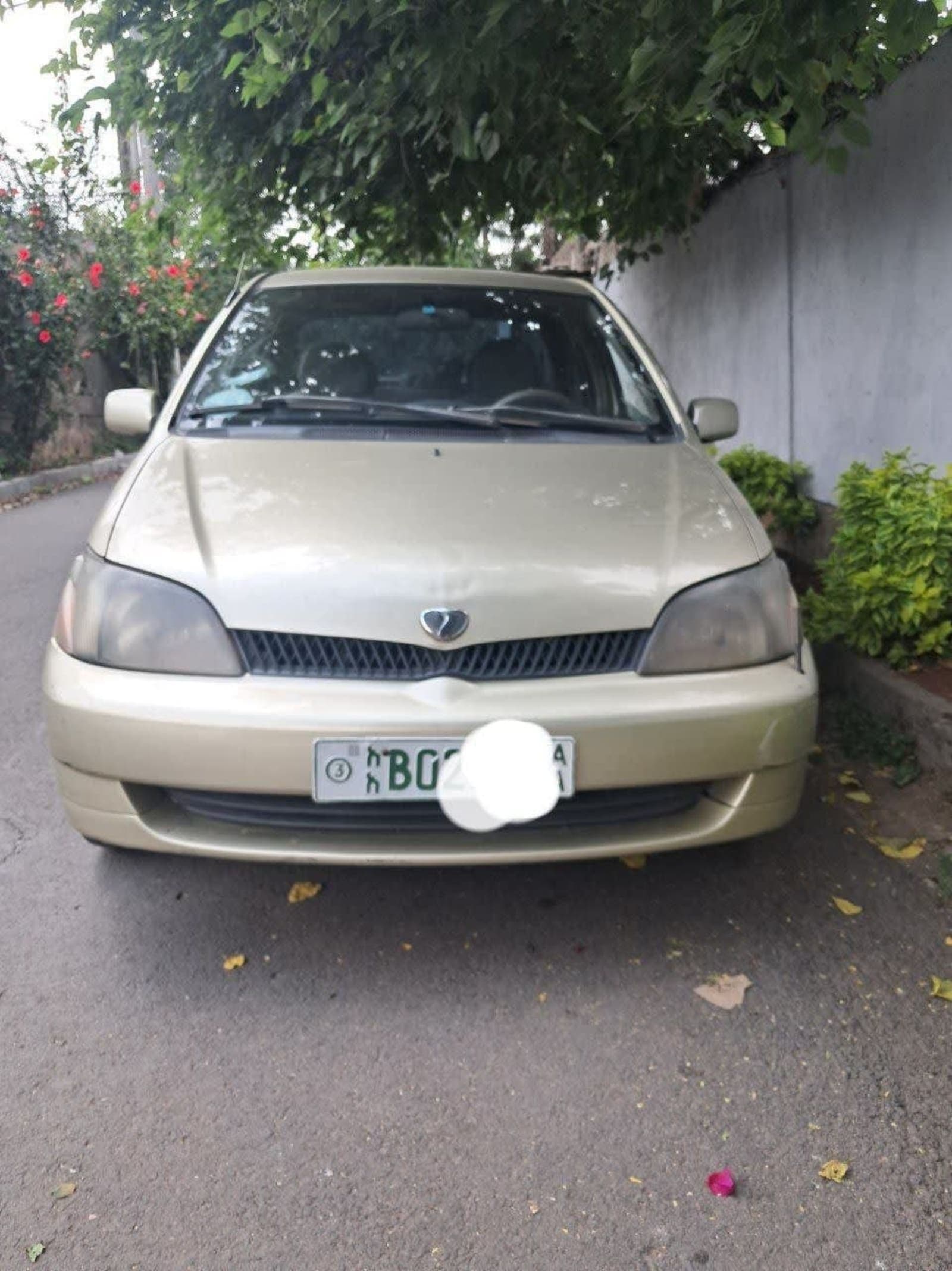 2001 Toyota Platez — photo 4