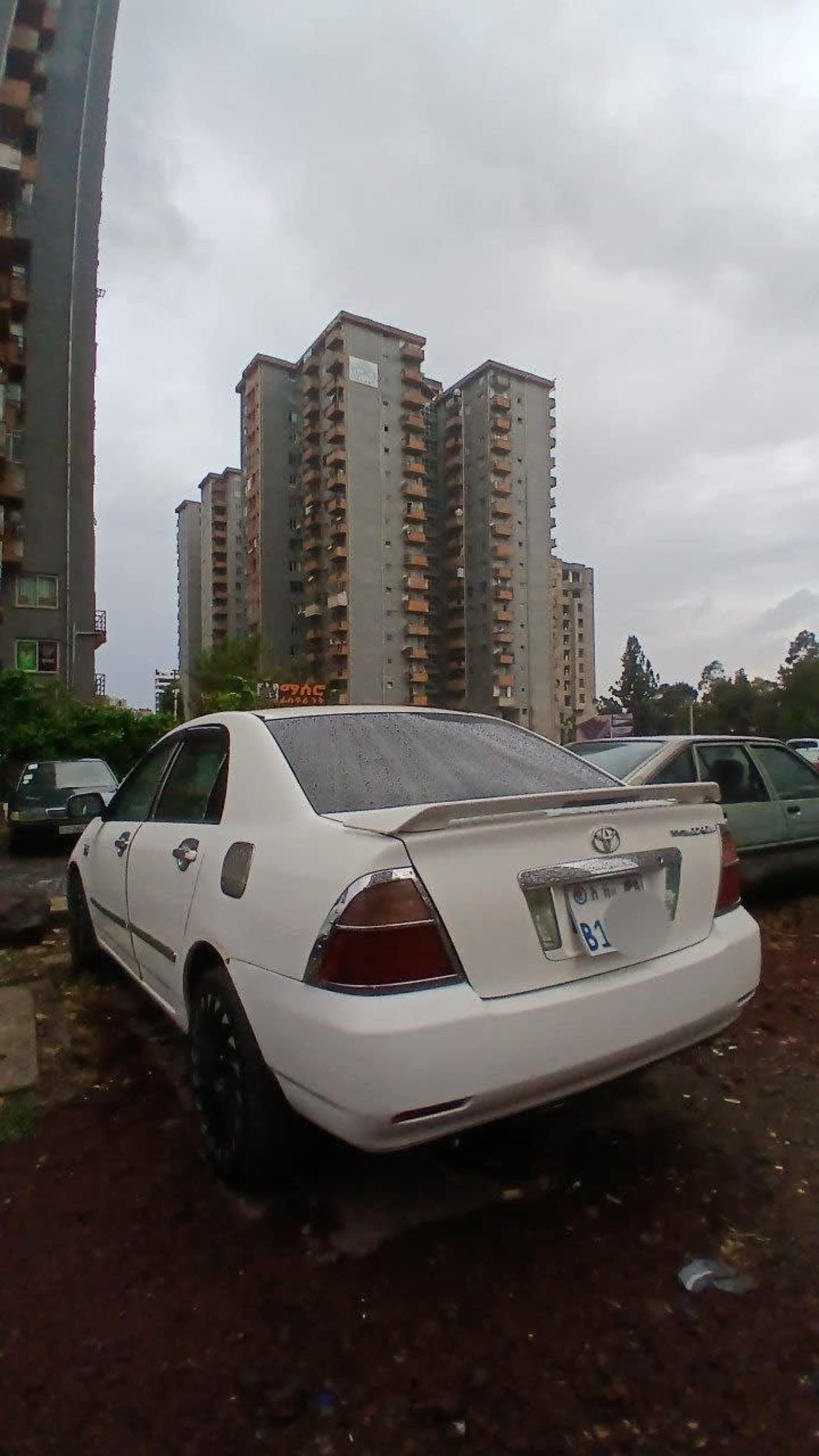 2005 Toyota Corolla — photo 5