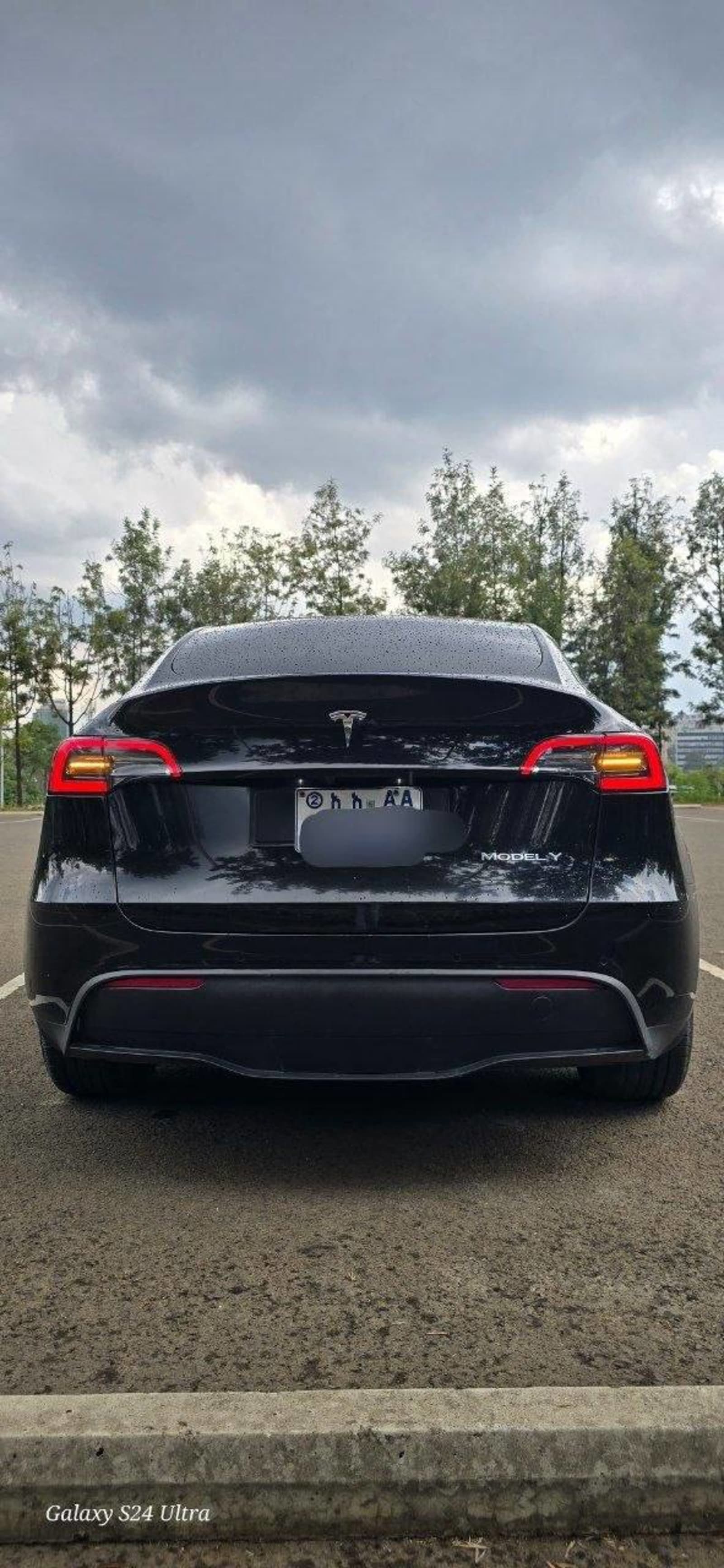 2024 Tesla Y