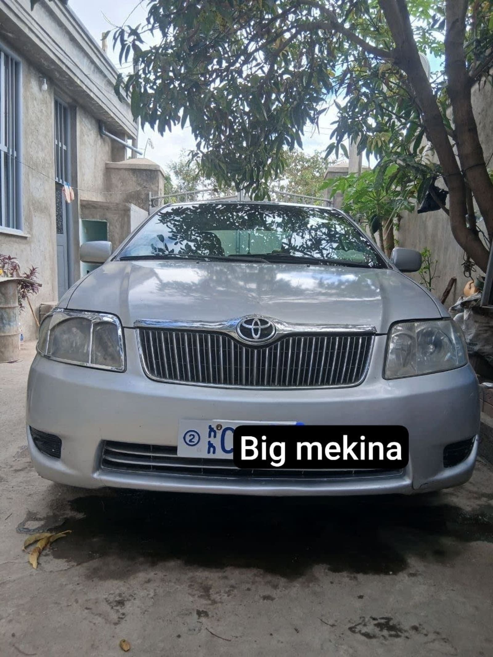 2006 Toyota Corolla — photo 5