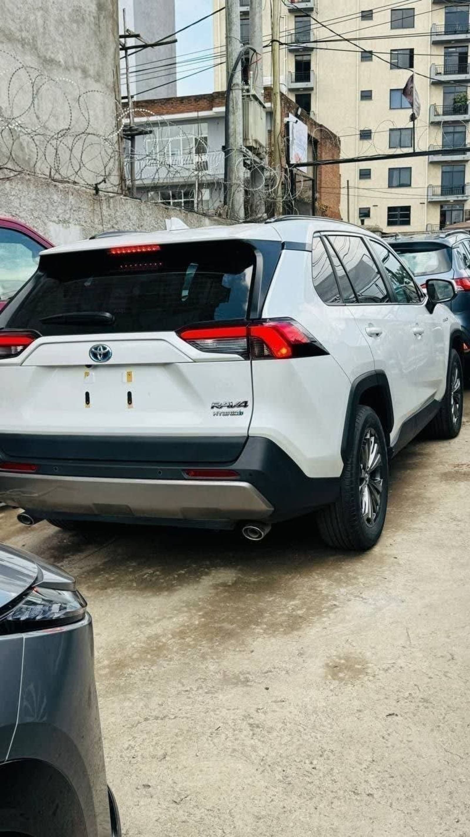 2024 Toyota RAV4 — photo 3