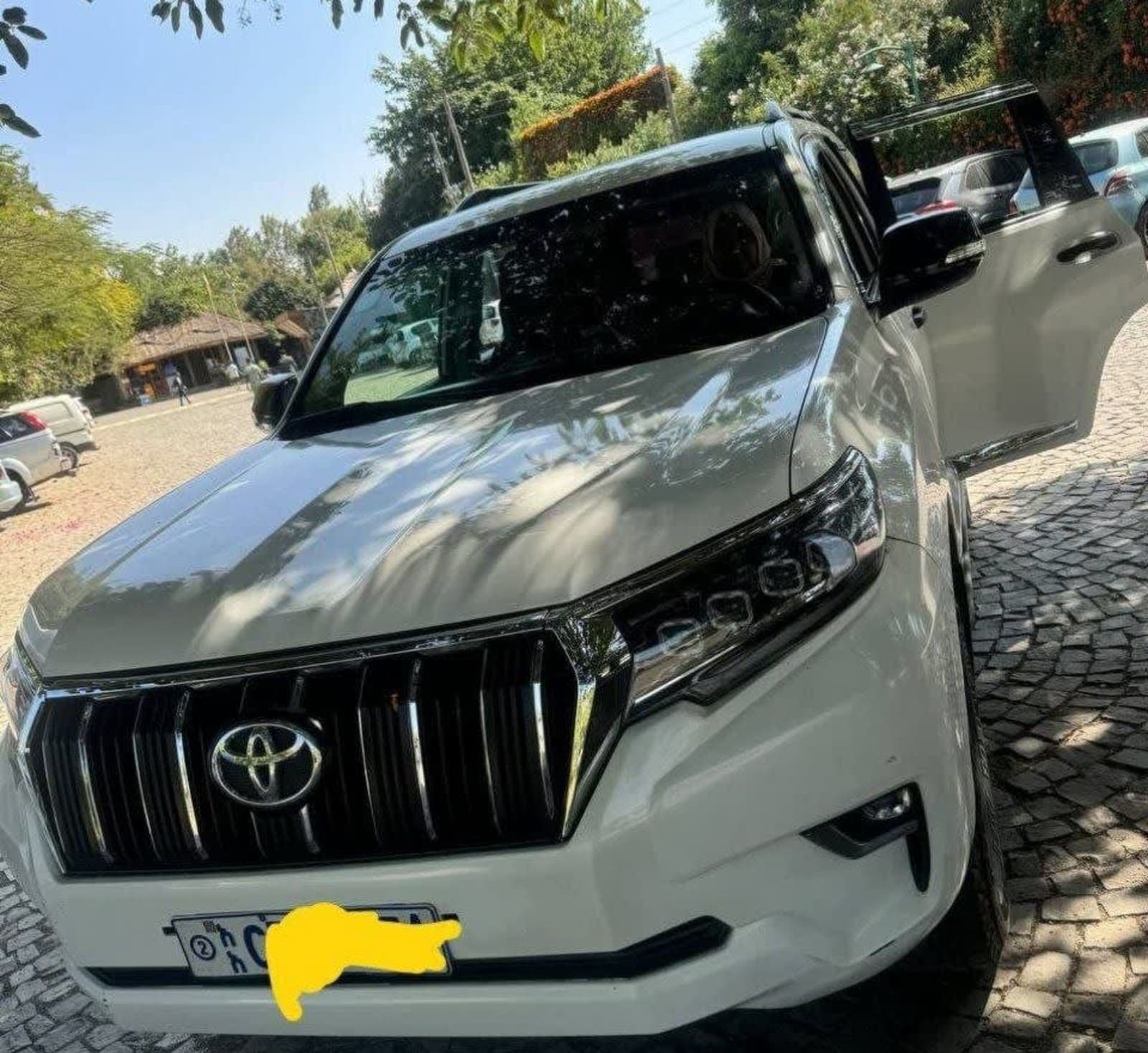 2018 Toyota Land Cruiser Prado — photo 4