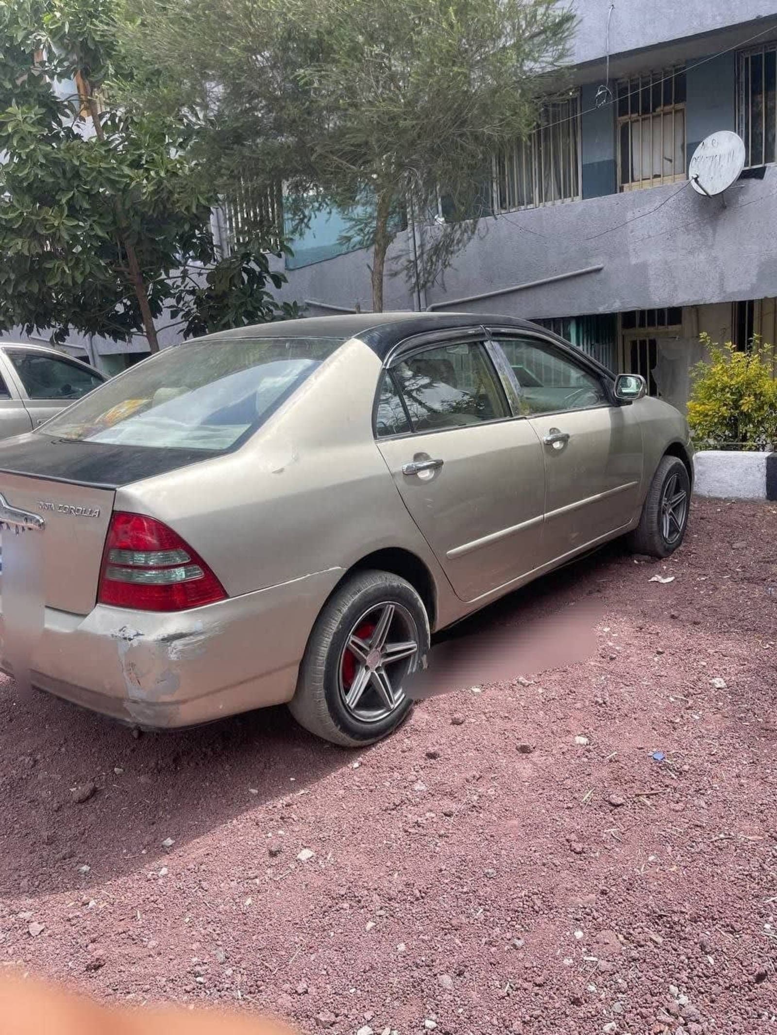 2003 Toyota Corolla — photo 1