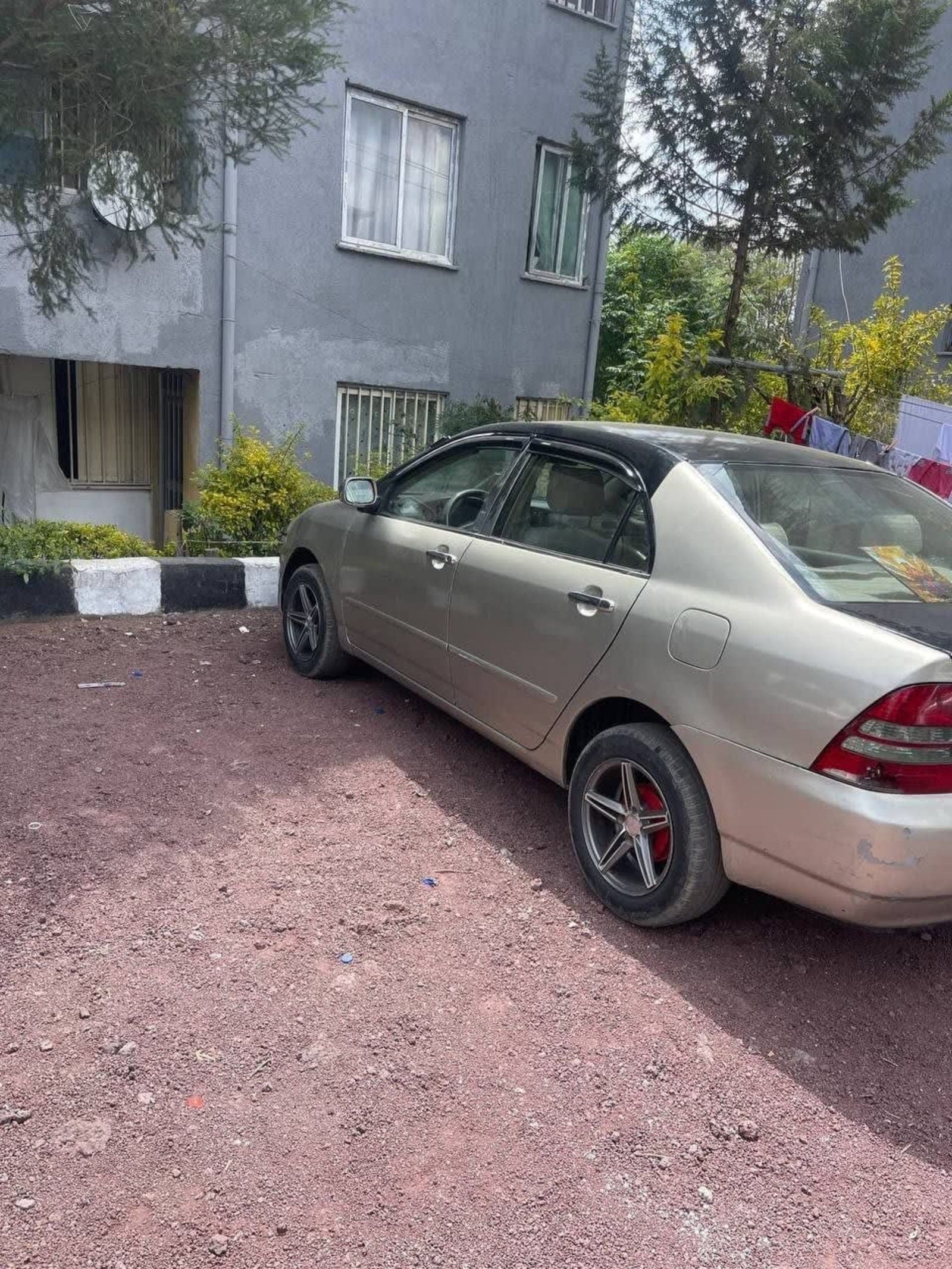 2003 Toyota Corolla — photo 3
