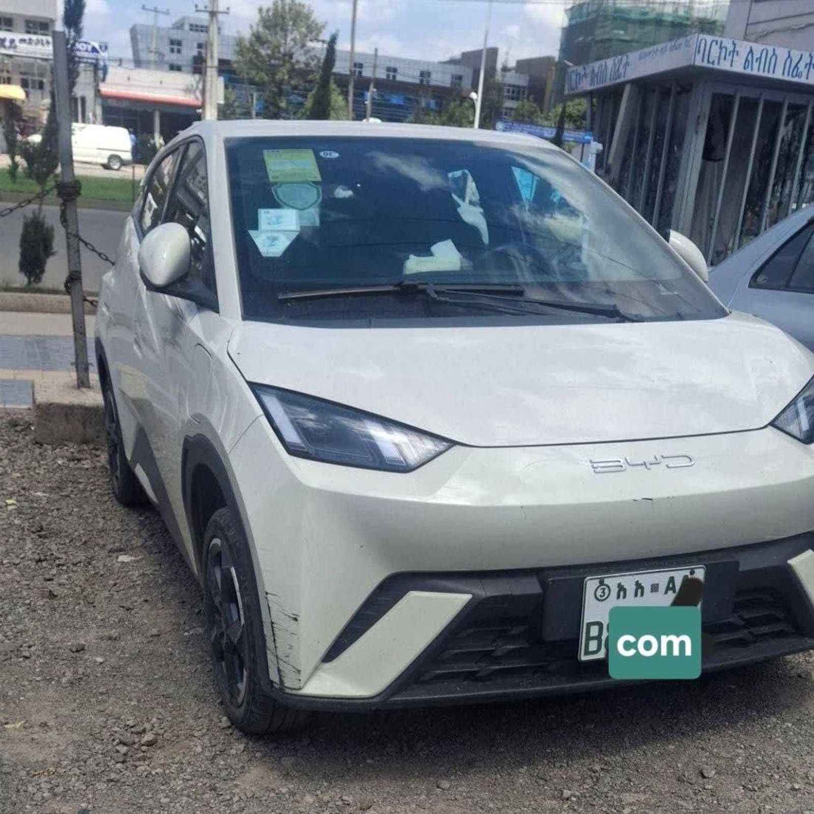2024 BYD Segul — photo 2