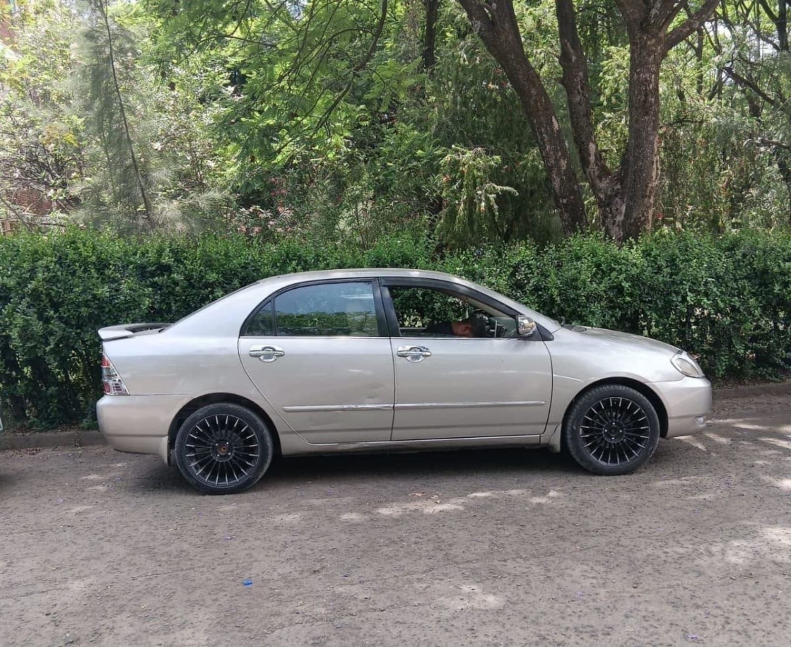 2003 Toyota Corolla — photo 2