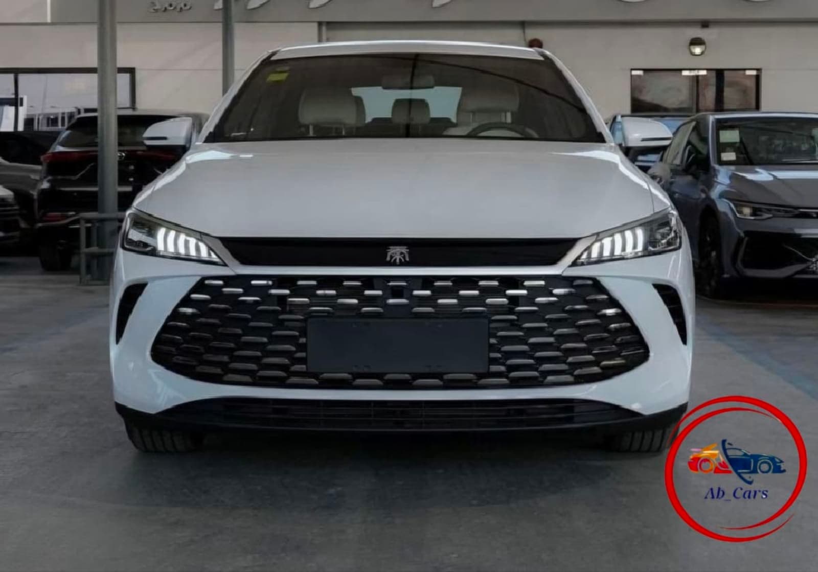 2025 BYD Qin Plus DM-i — photo 1