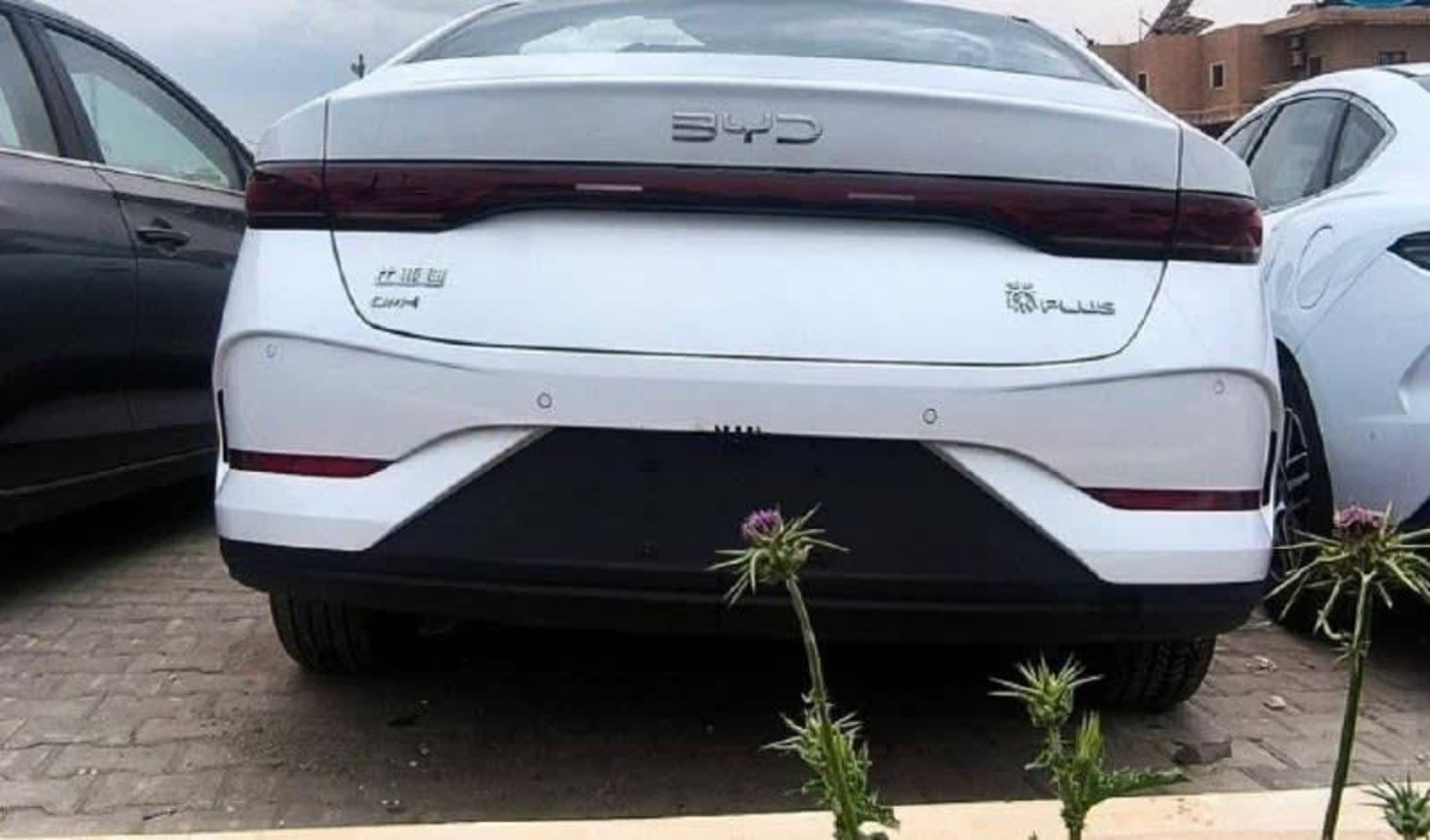 2025 BYD QIN-Plus DM-i — photo 2