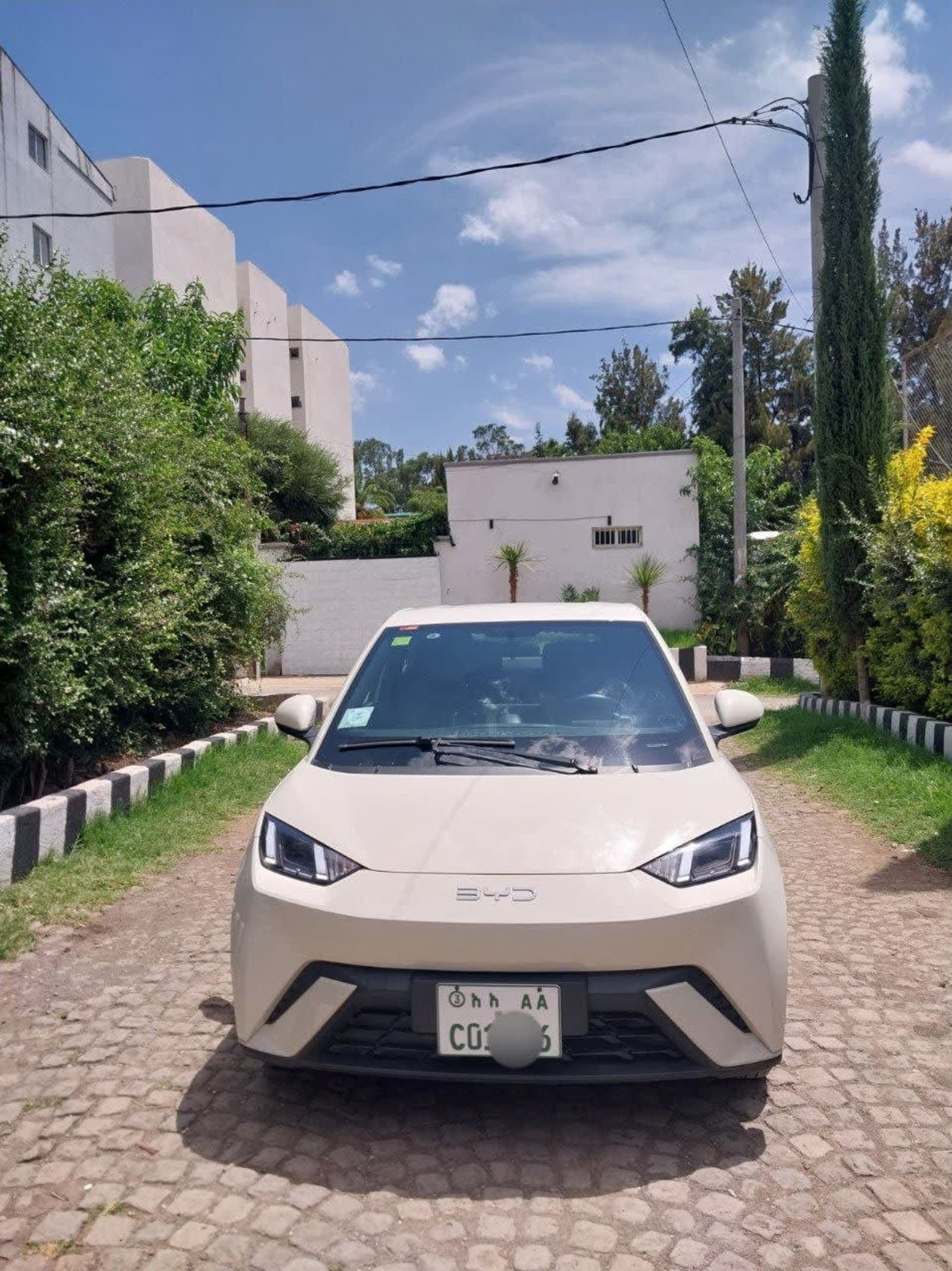 2024 BYD SEGULL — photo 6