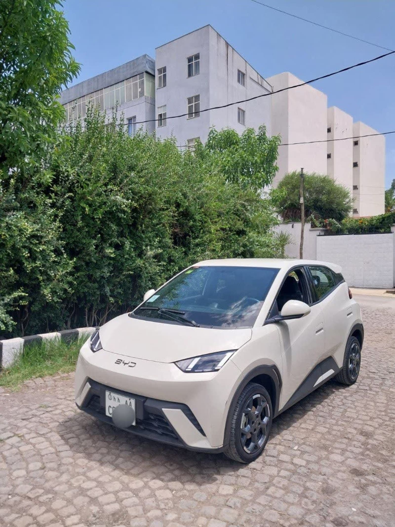 2024 BYD SEGULL — photo 7