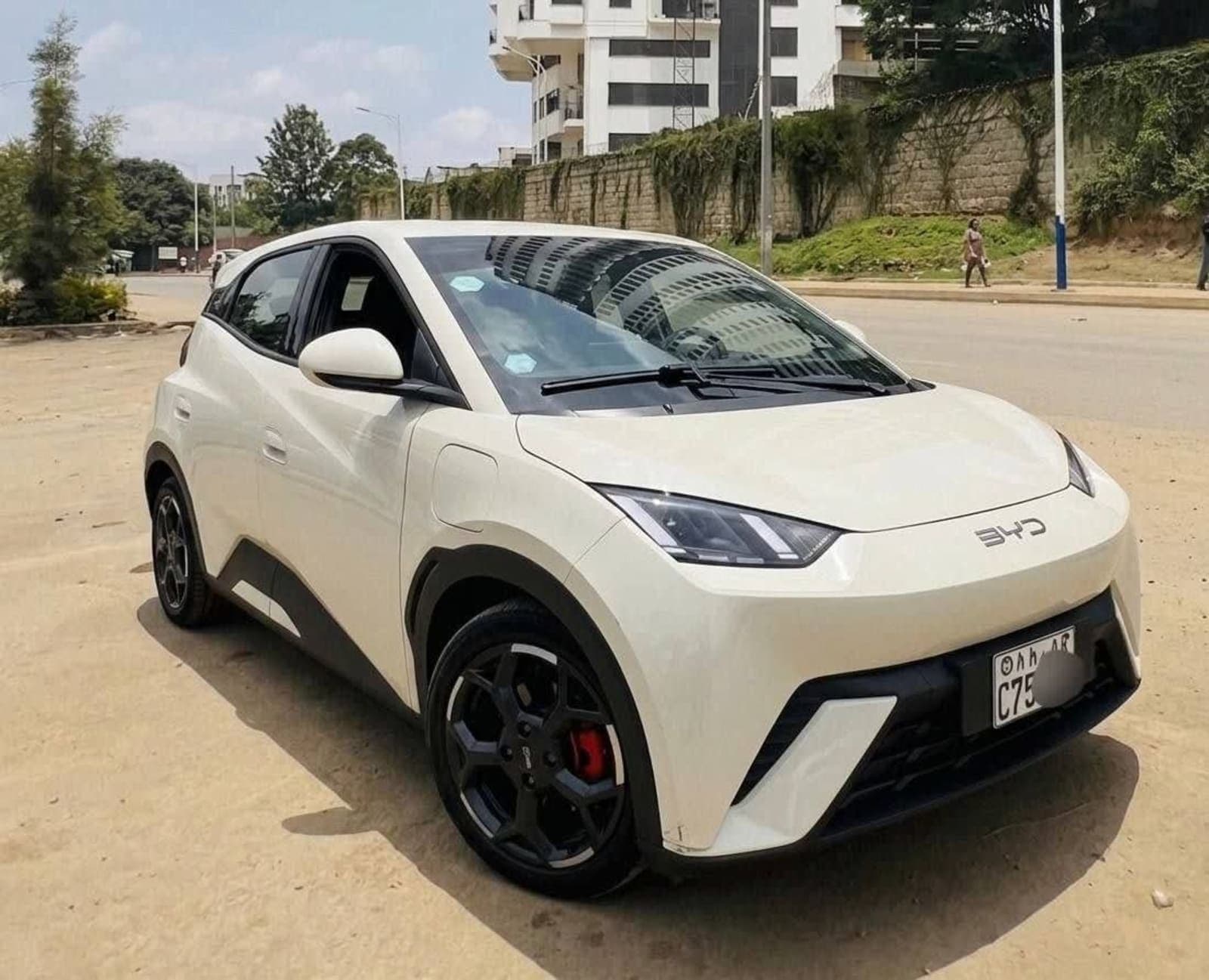 2025 BYD Seagull — photo 2
