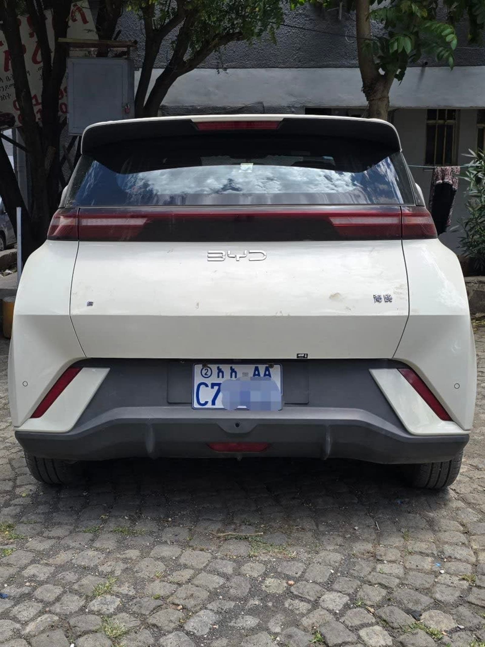 2025 BYD Seagull