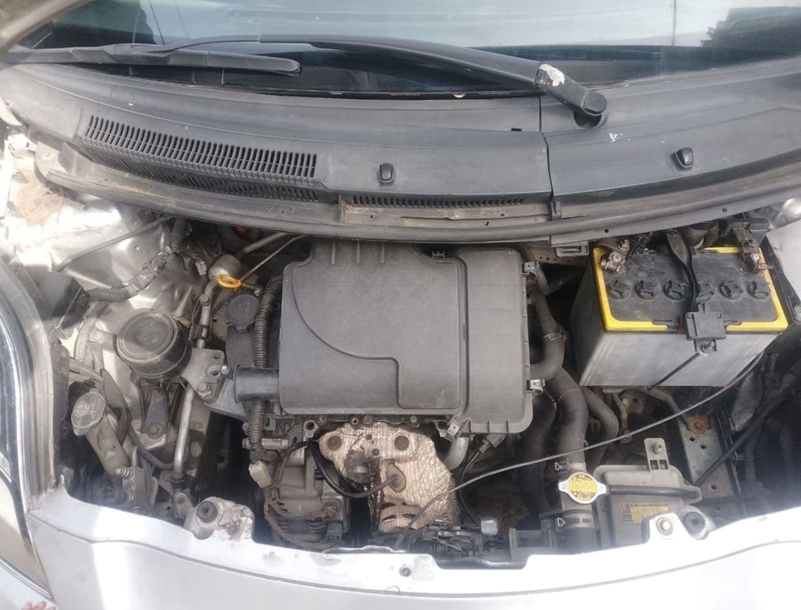 2005 Toyota Compact Yaris — photo 4