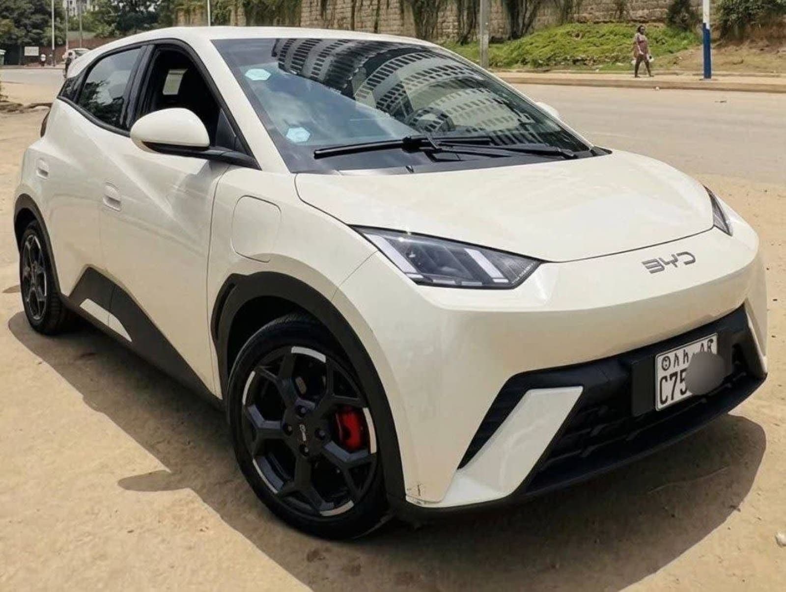 2025 BYD Seagull — photo 2
