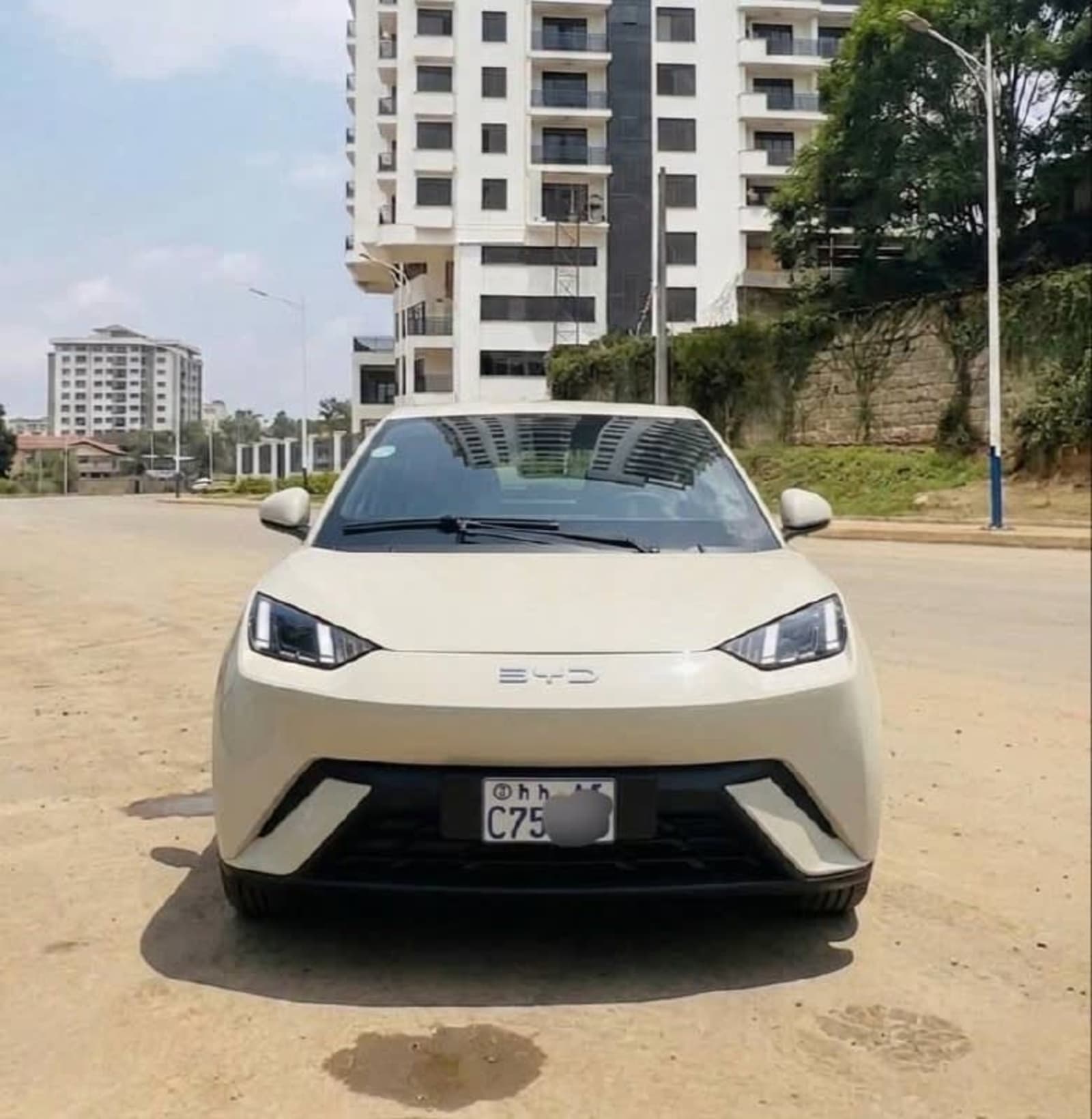 2025 BYD Segulle — photo 3