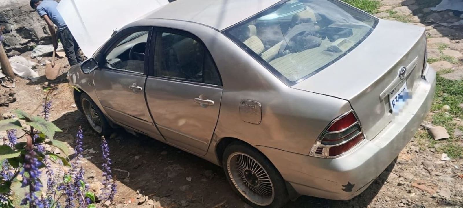 2004 Toyota Corolla — photo 2