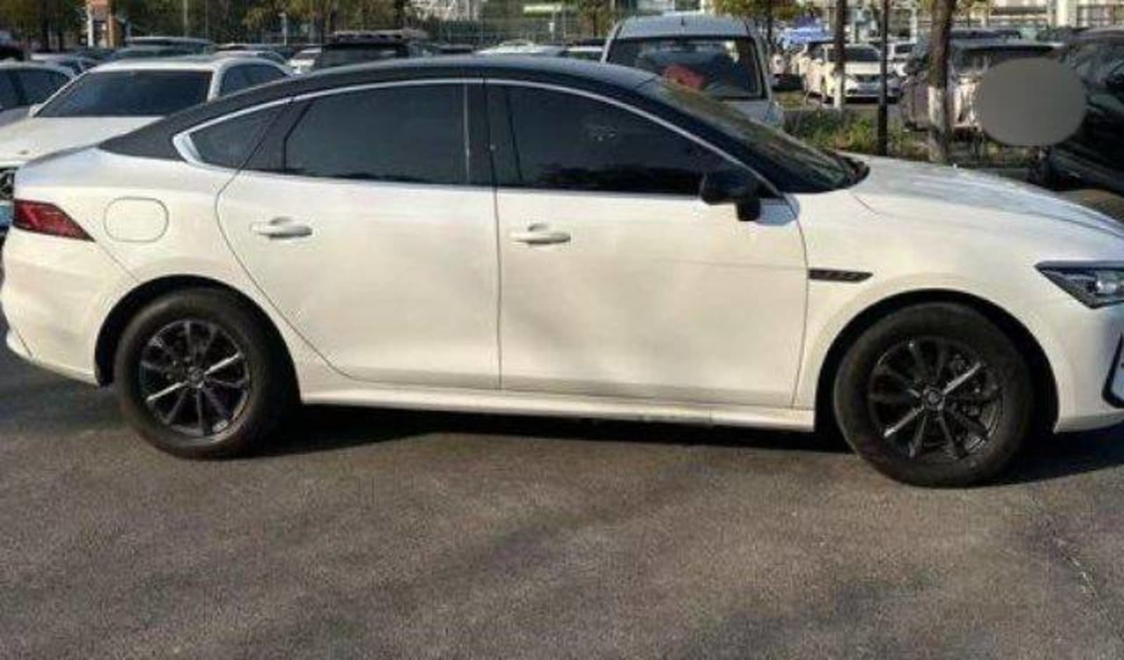 2025 BYD QIN-Plus DM-i — photo 3