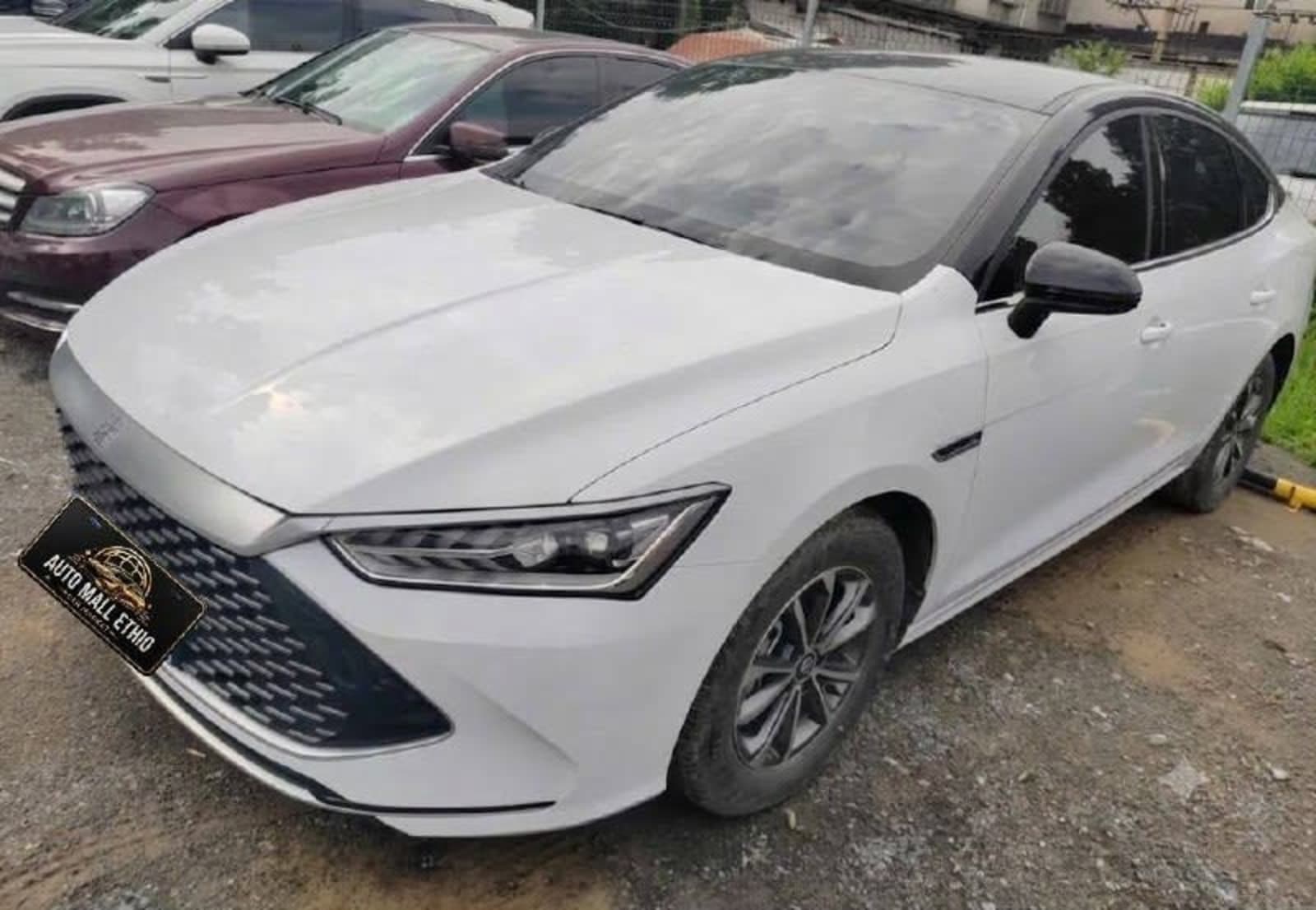 2025 BYD QIN-Plus DM-i — photo 4