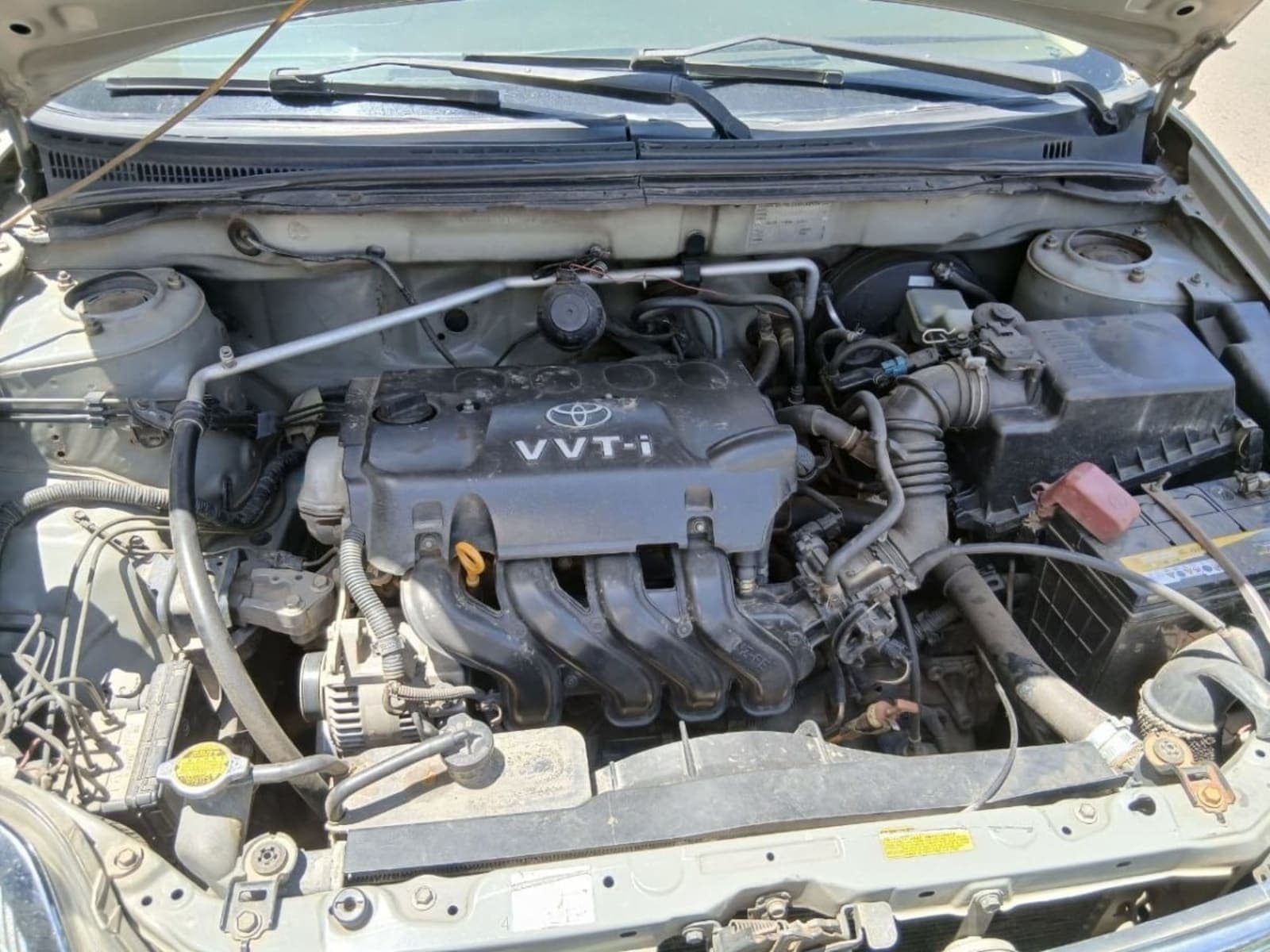 2003 Toyota Corolla — photo 3