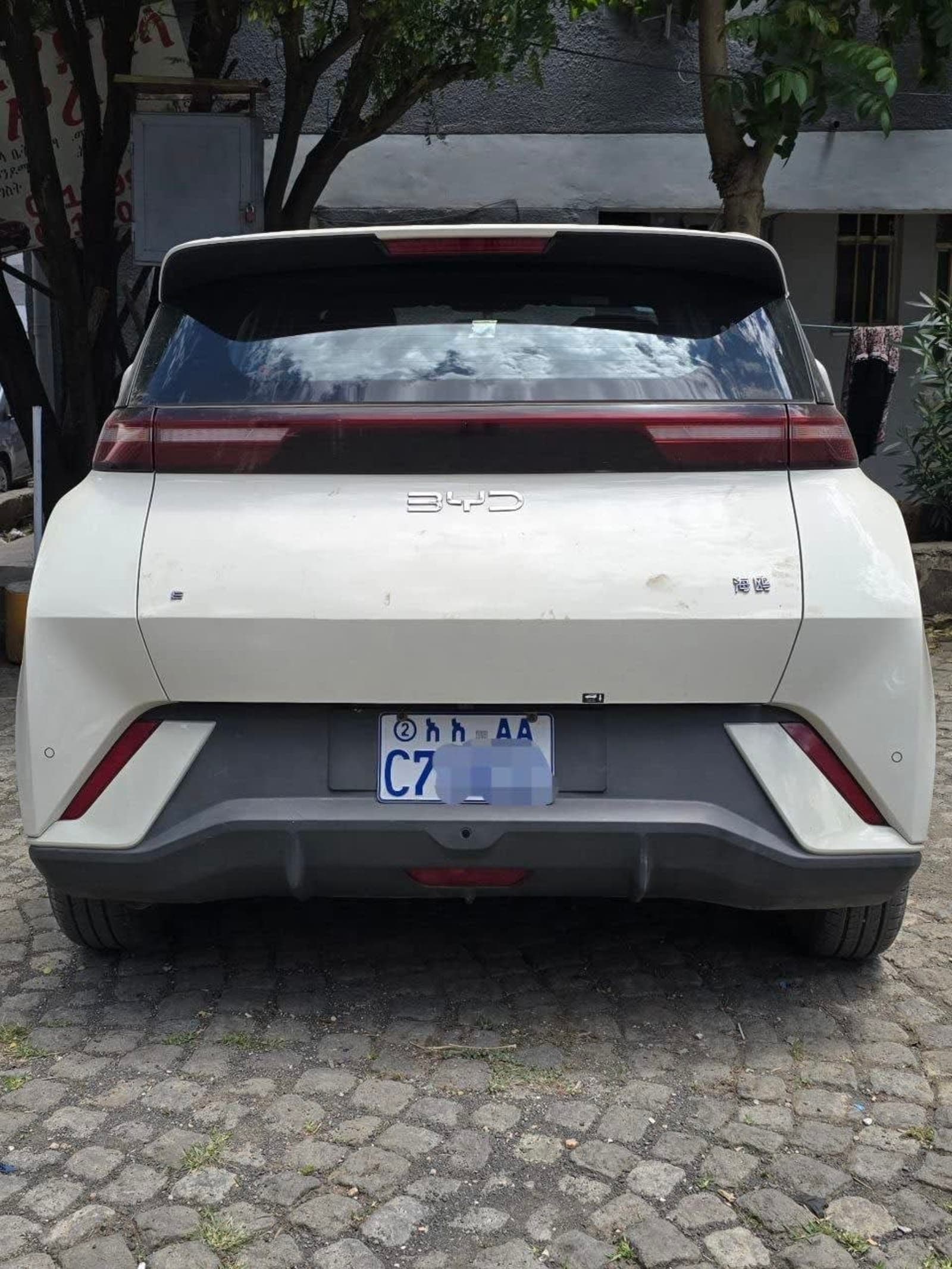 2025 BYD Seagull — photo 2