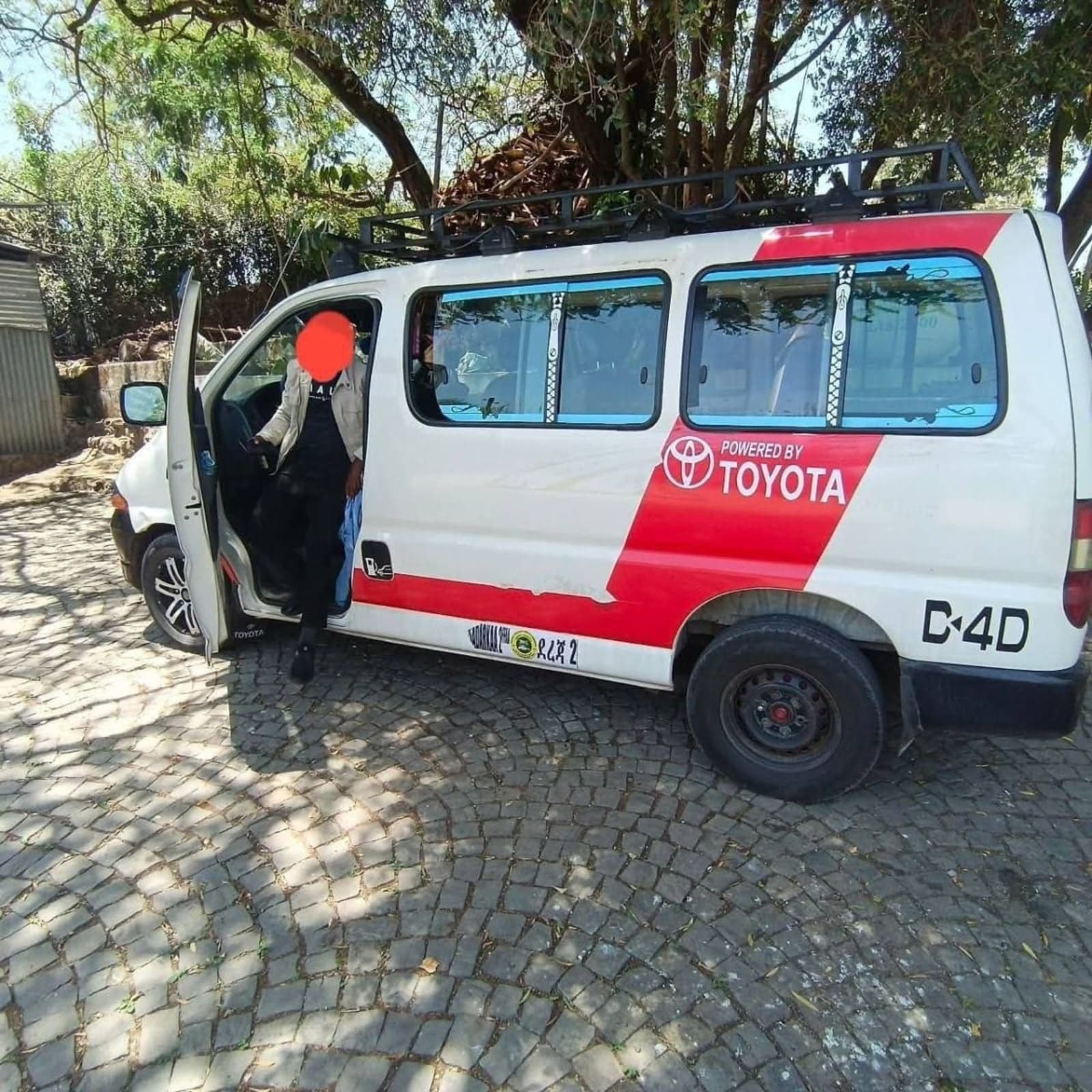 2003 Dolphine D4D — photo 3