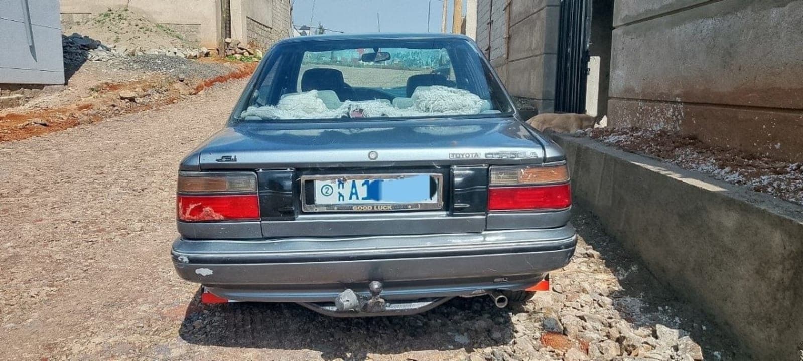 1992 Wianji DX — photo 2