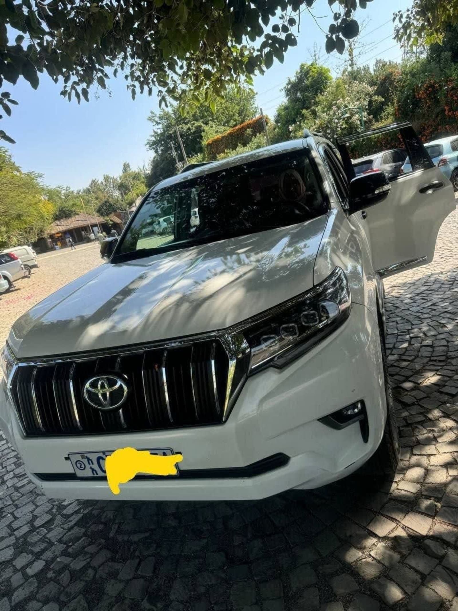 2018 Toyota Land Cruiser Prado — photo 3