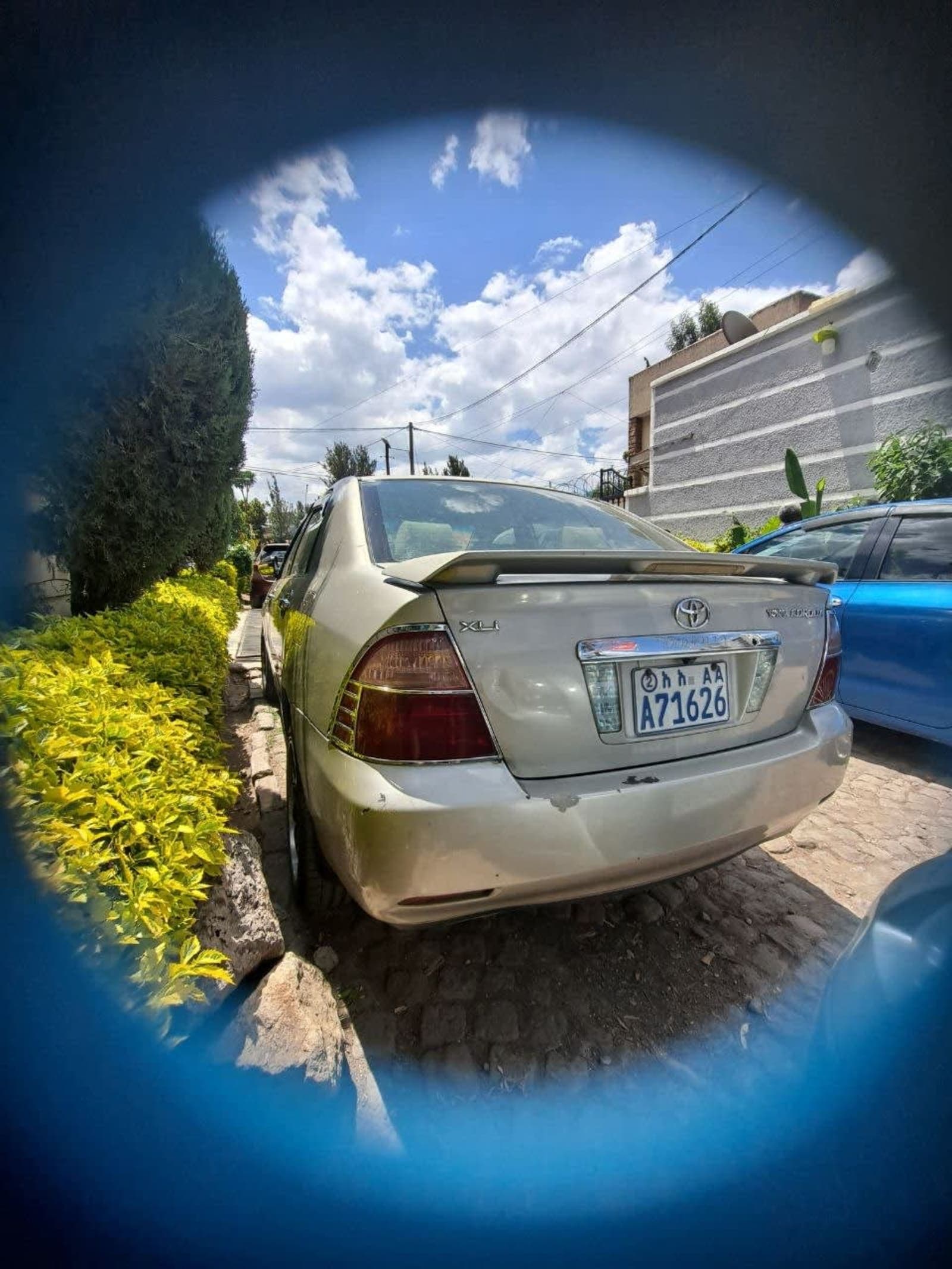 2006 Toyota Corolla — photo 3