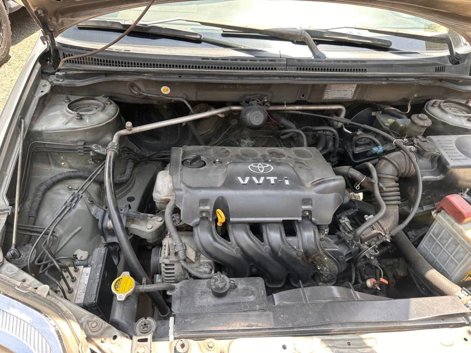 2003 Toyota Corolla — photo 2
