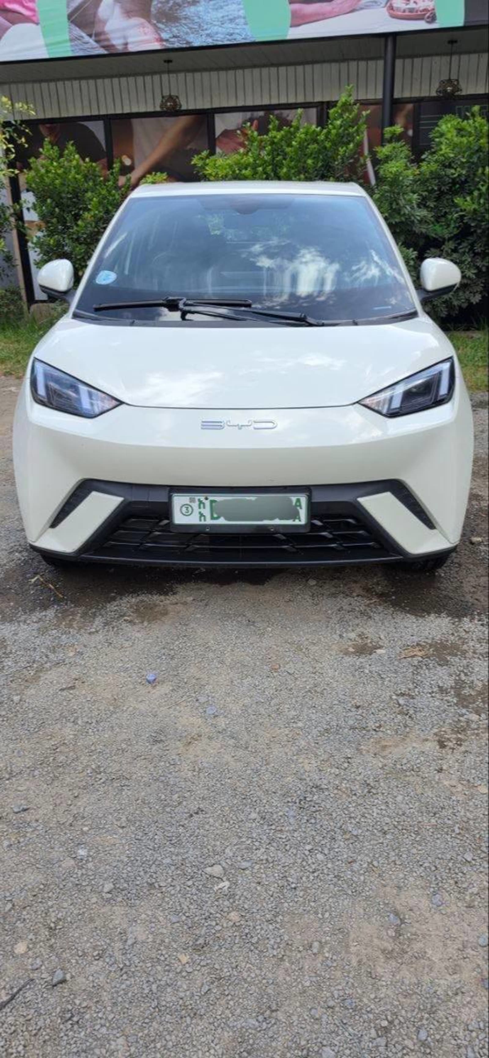 2023 BYD Seagul