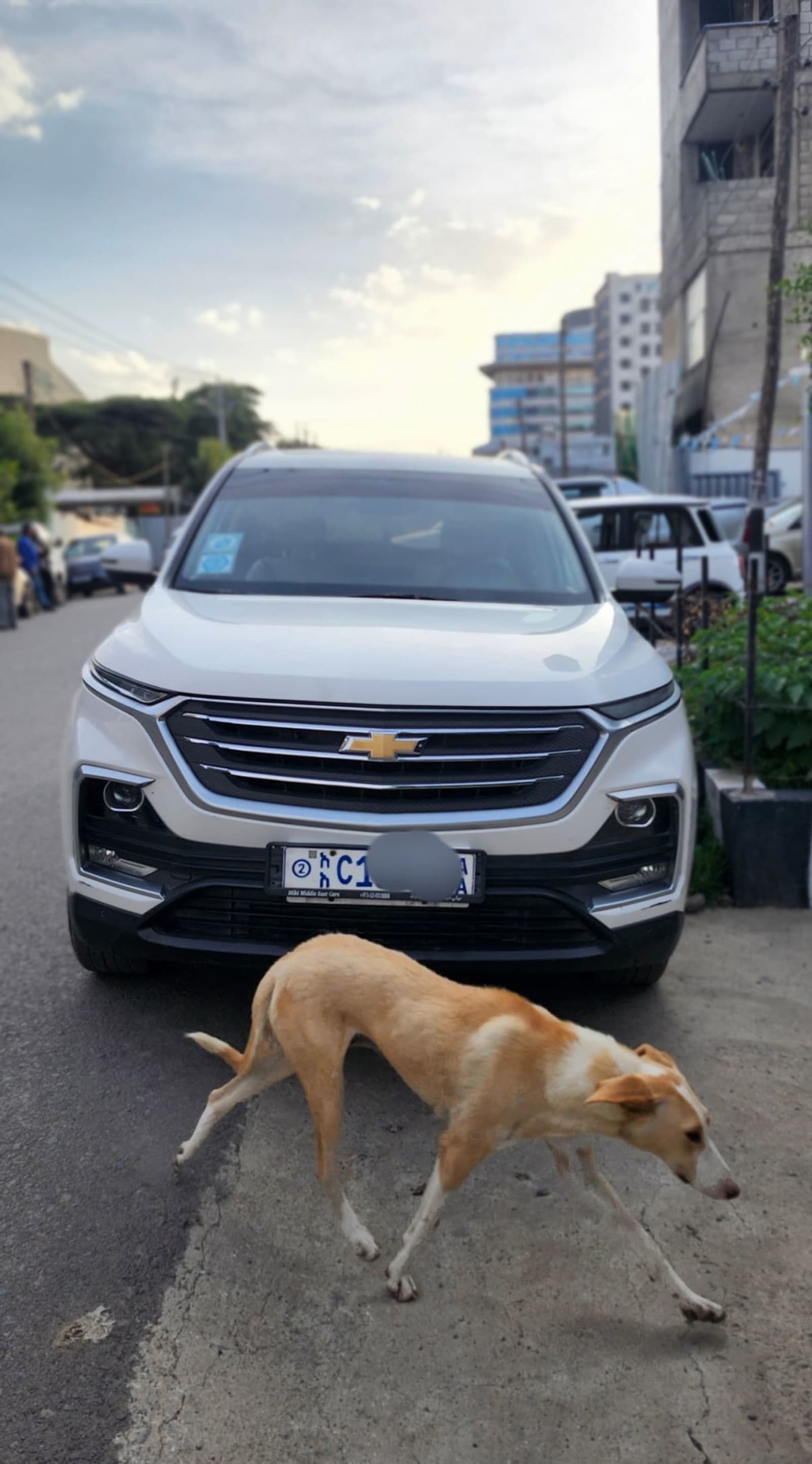 2022 Chevrolet Captiva Premier