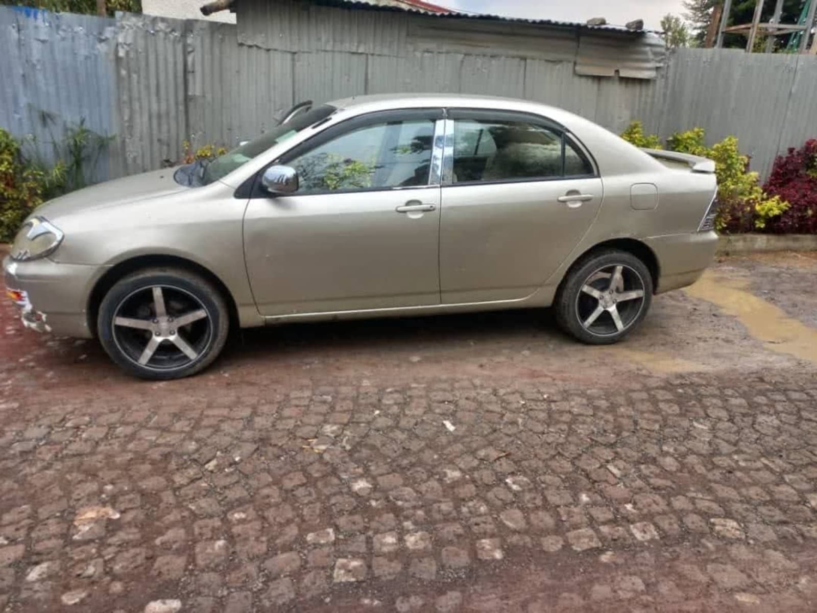 2003 Toyota Corolla
