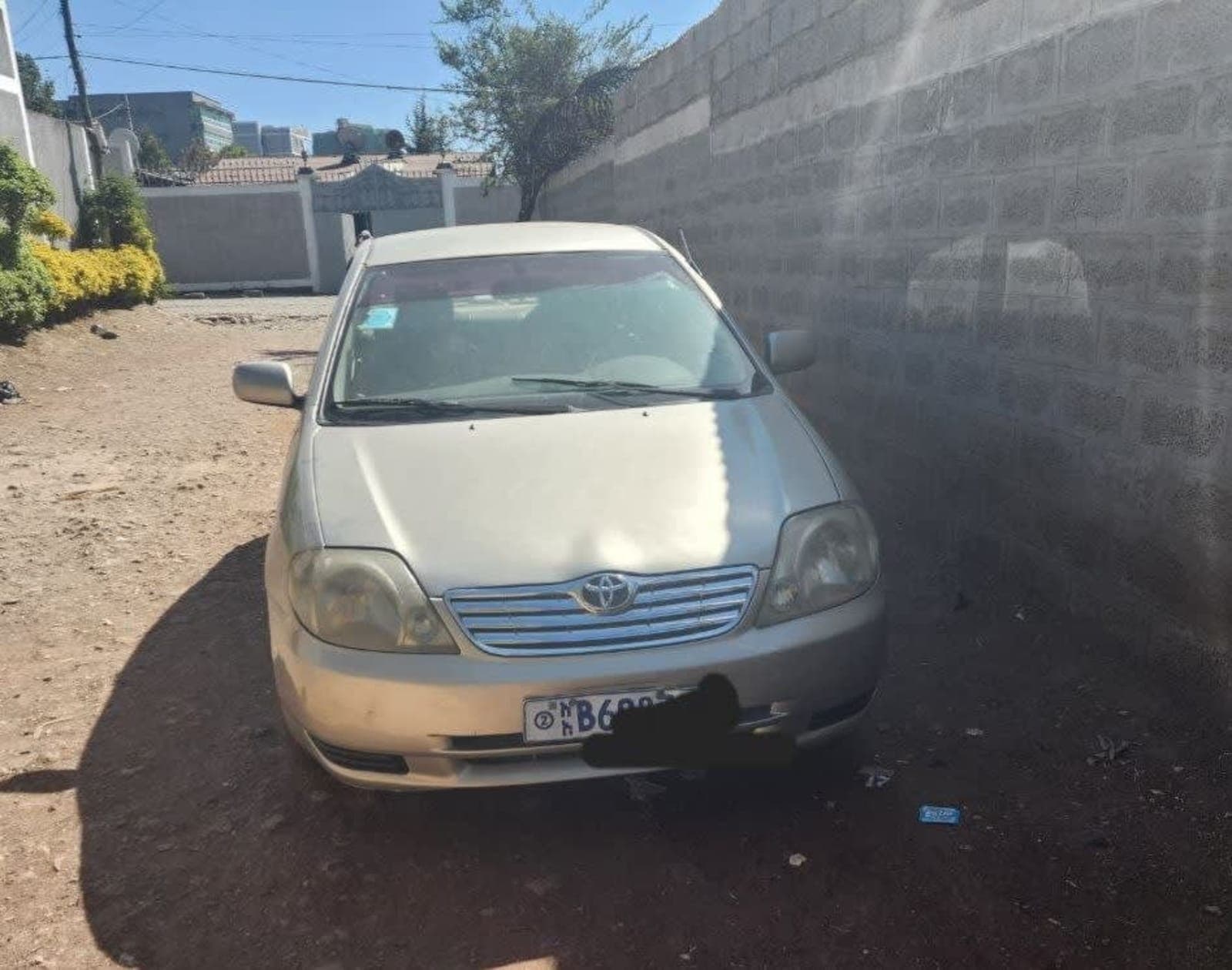 2003 Toyota Corolla — photo 3