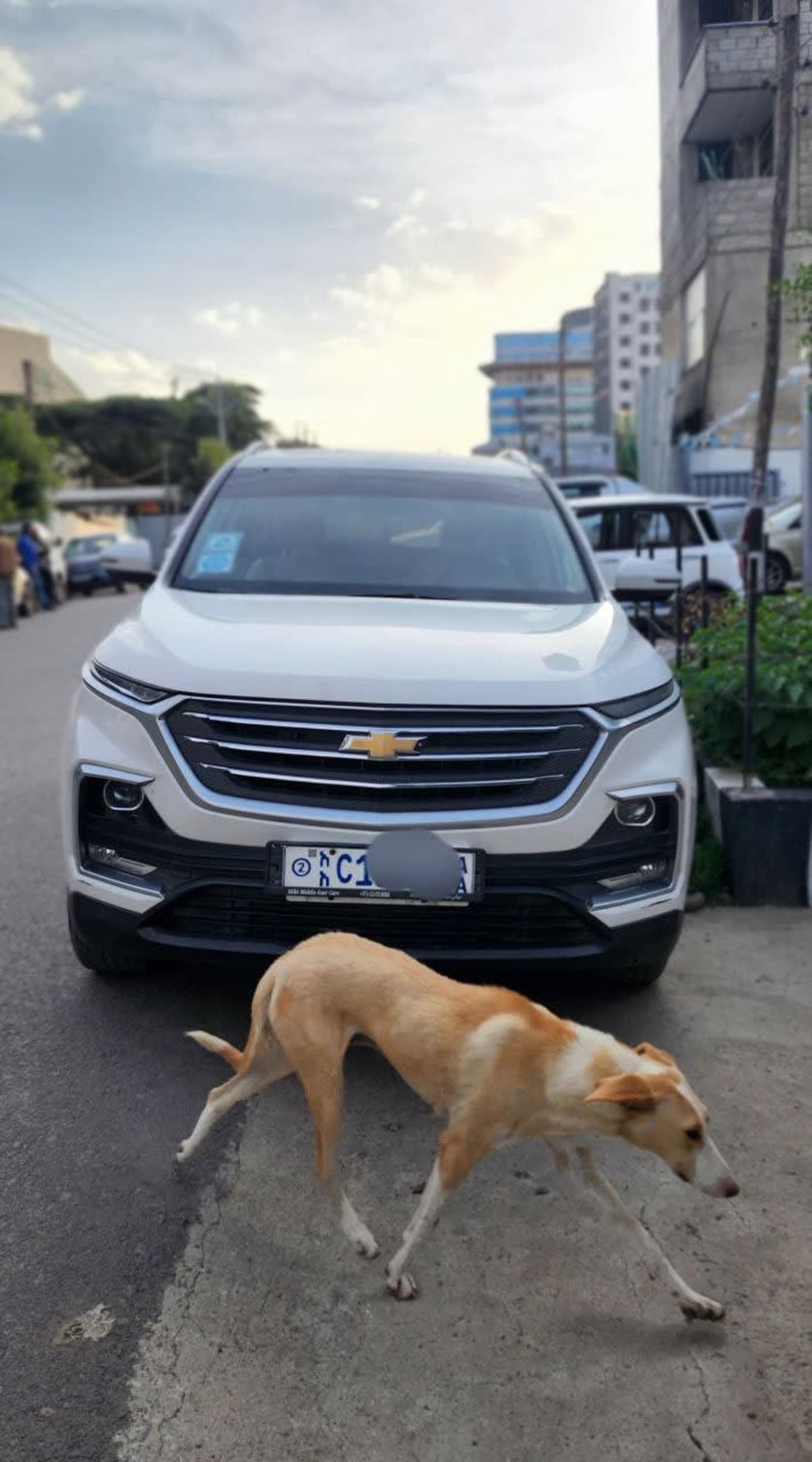 2023 Chevrolet Captiva — photo 2