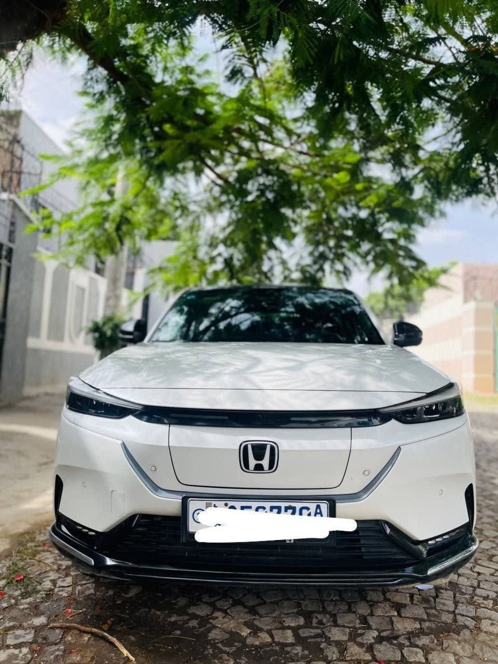 2023 Honda NS1