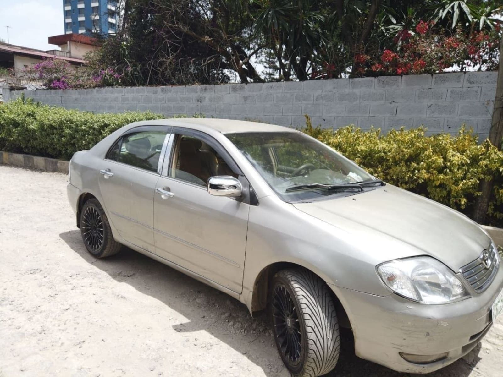 2003 Toyota Corolla