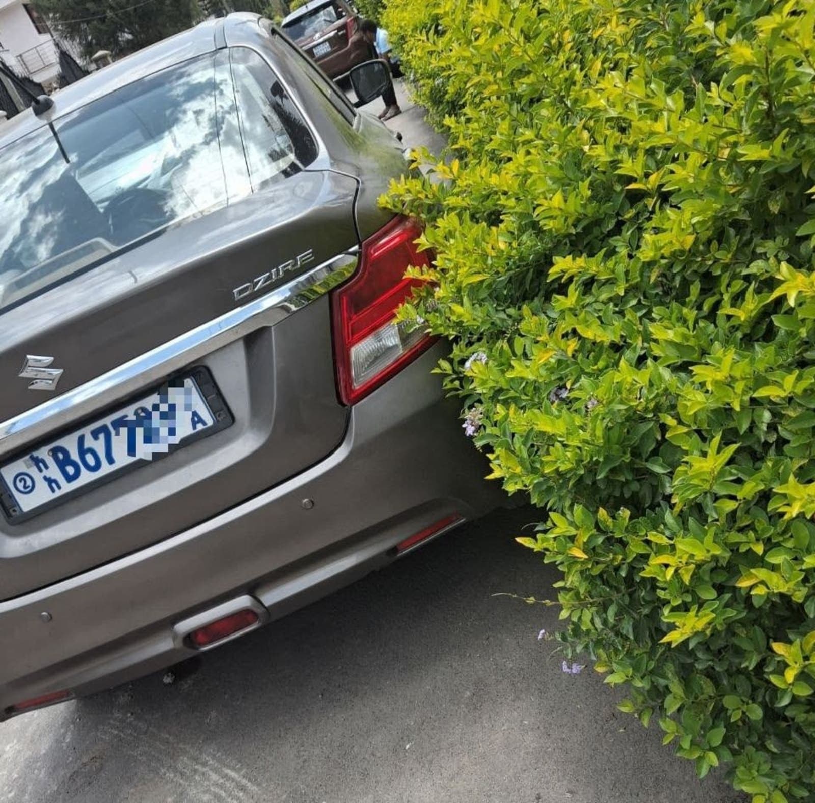 2020 SUZUKI DZIERE — photo 4